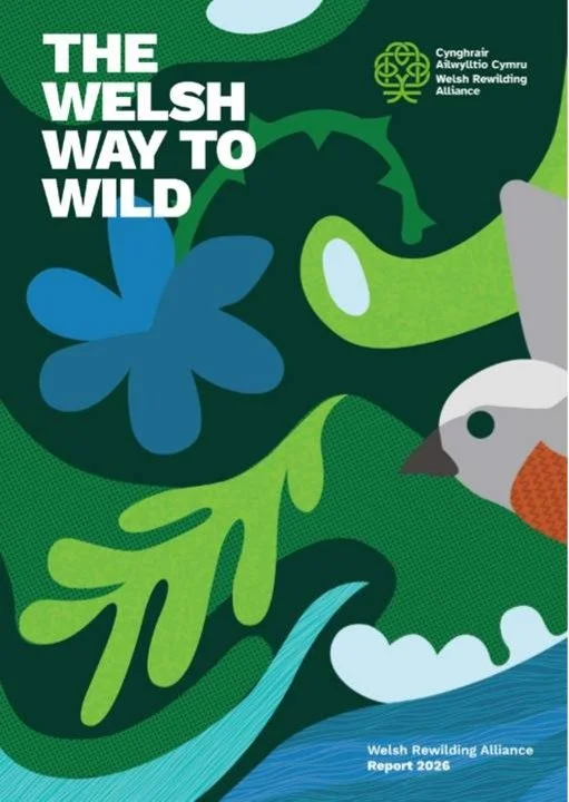 The Welsh Way to Wild 