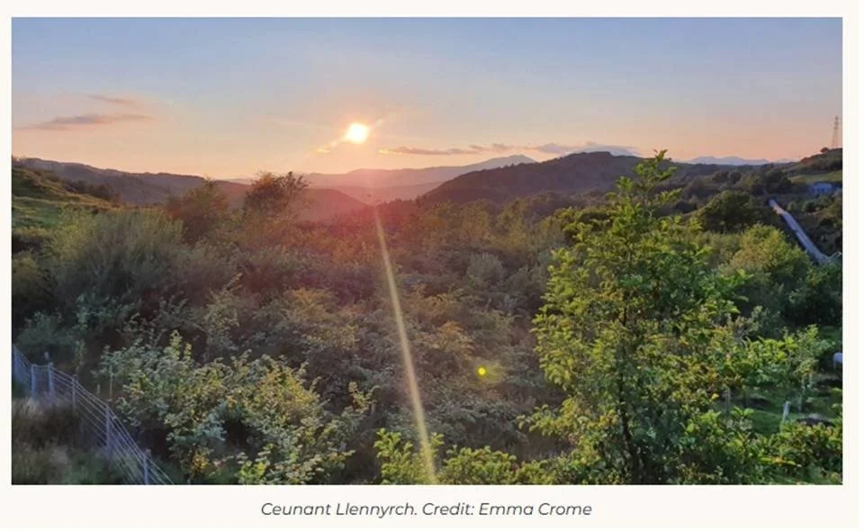 United for a Wilder Wales: New alliance launches with a vision to restore nature, boost rural jobs, and keep young people in the countryside