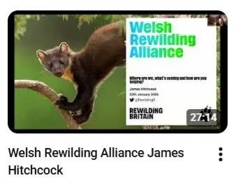 Introduction to the Welsh Rewilding Alliance 