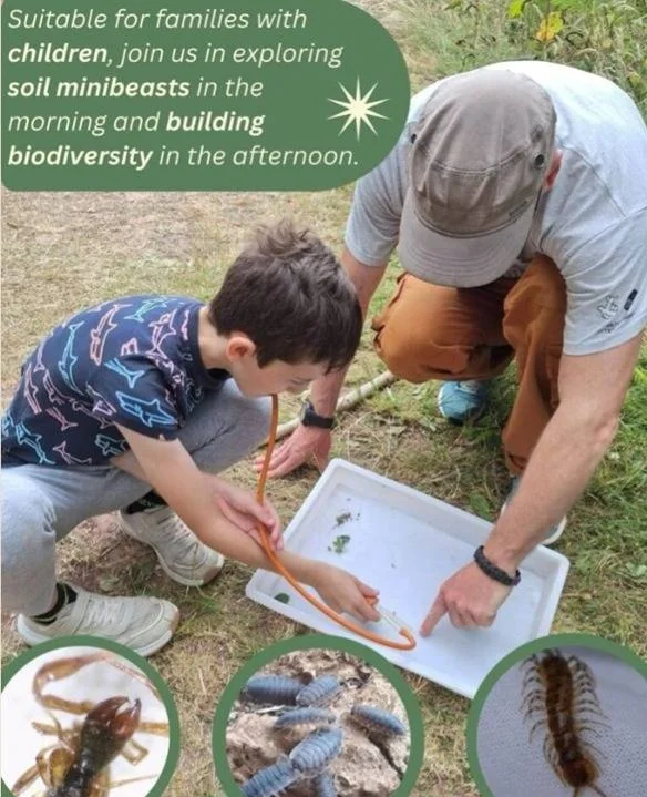 Understanding Invertebrates... Grassland Safari!