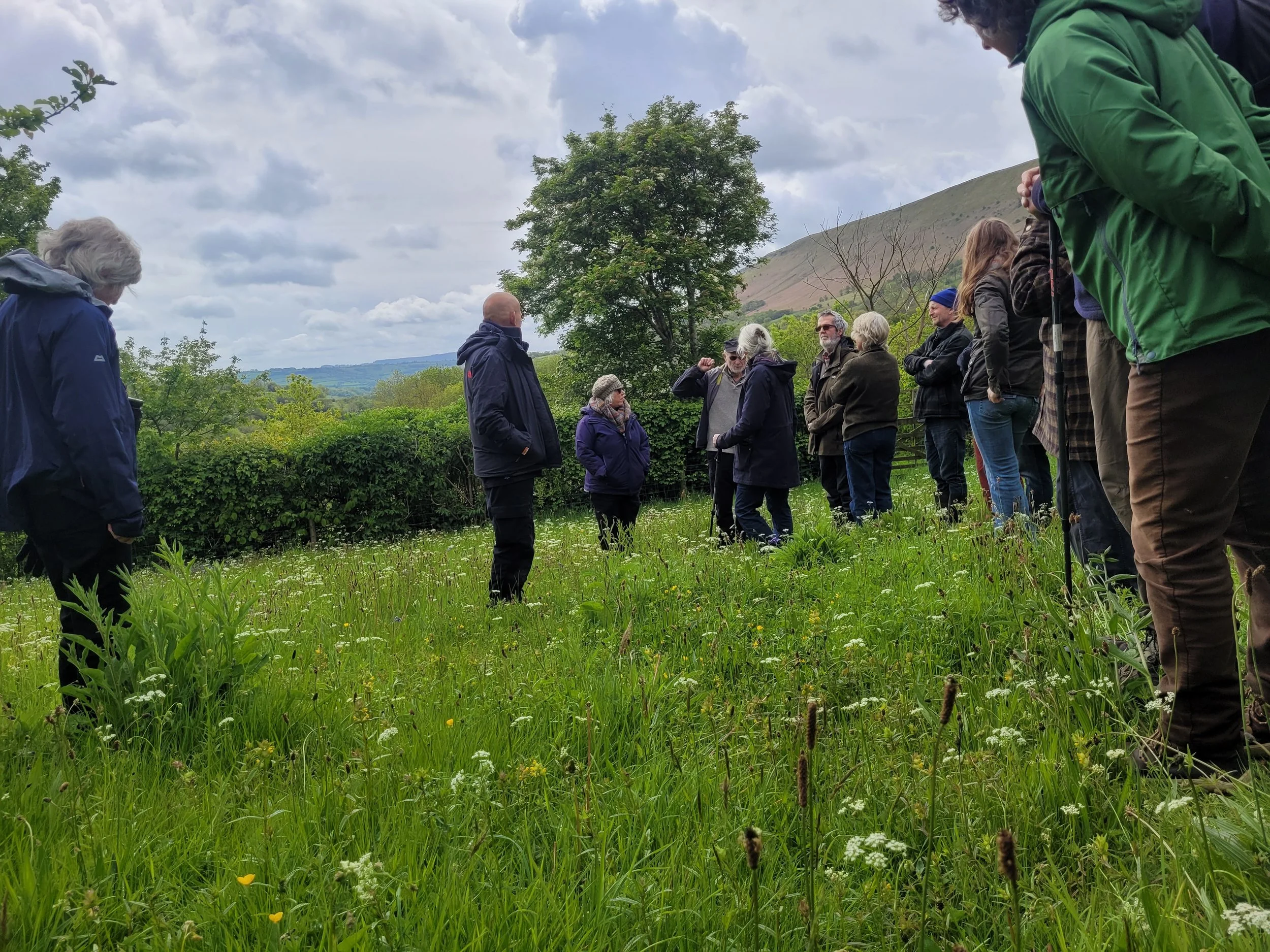 Olchon Court Farm Visit