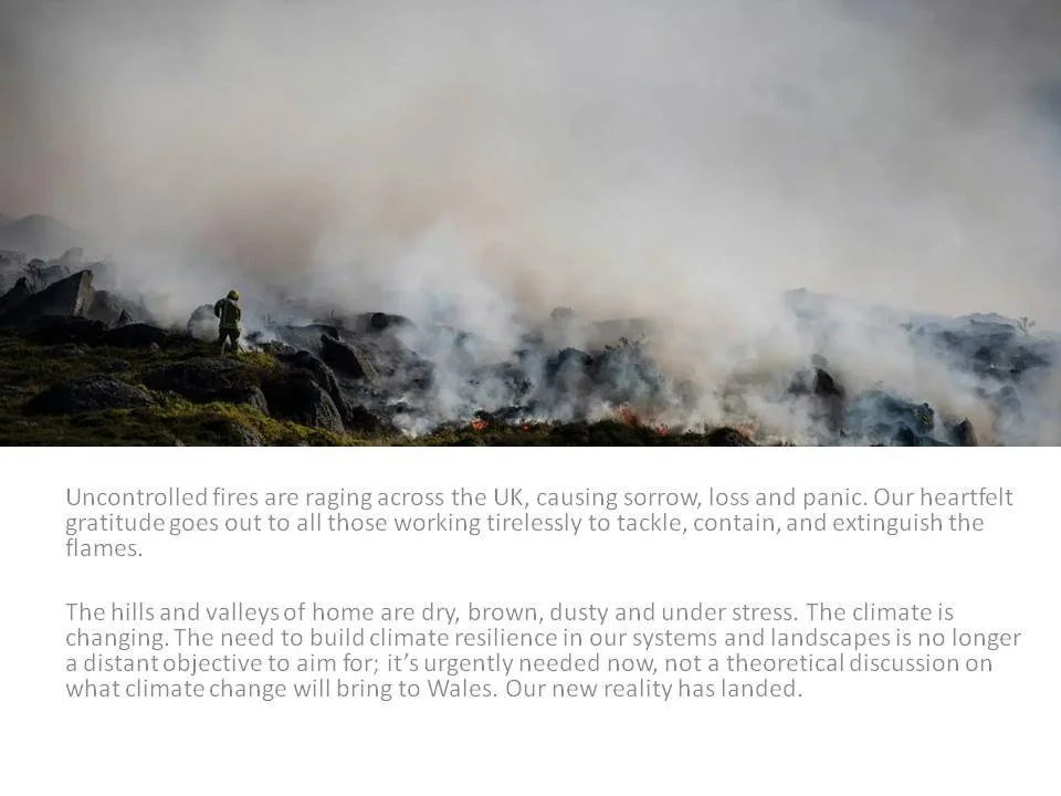 Wildfires, Climate Change and the Landscapes of Wales