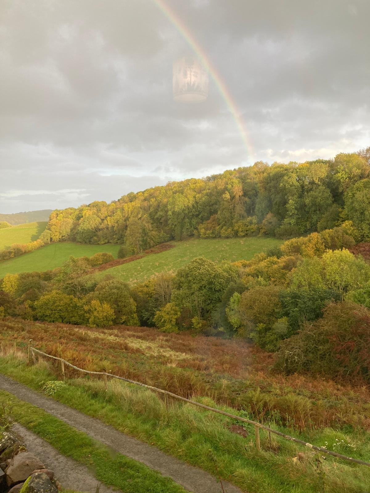 Meadow at Beddw Credit Jodi Knott.jpg