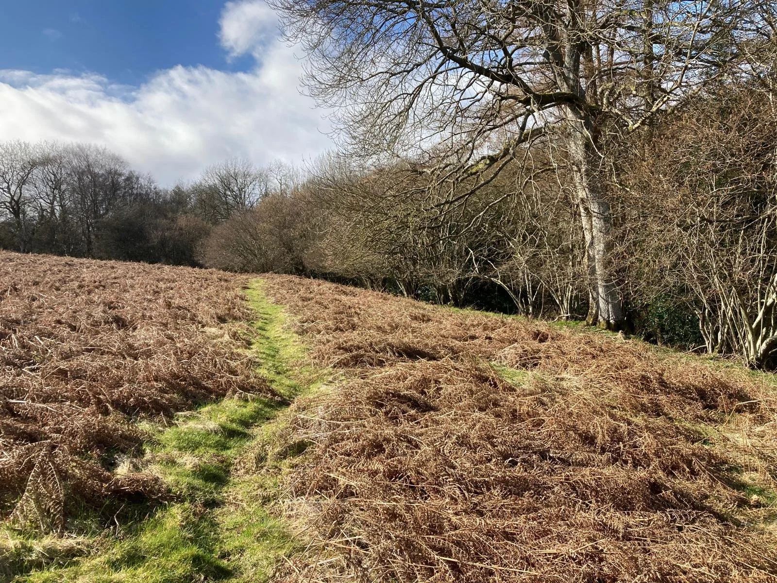 Beddw Credit Jodi Knott.jpg