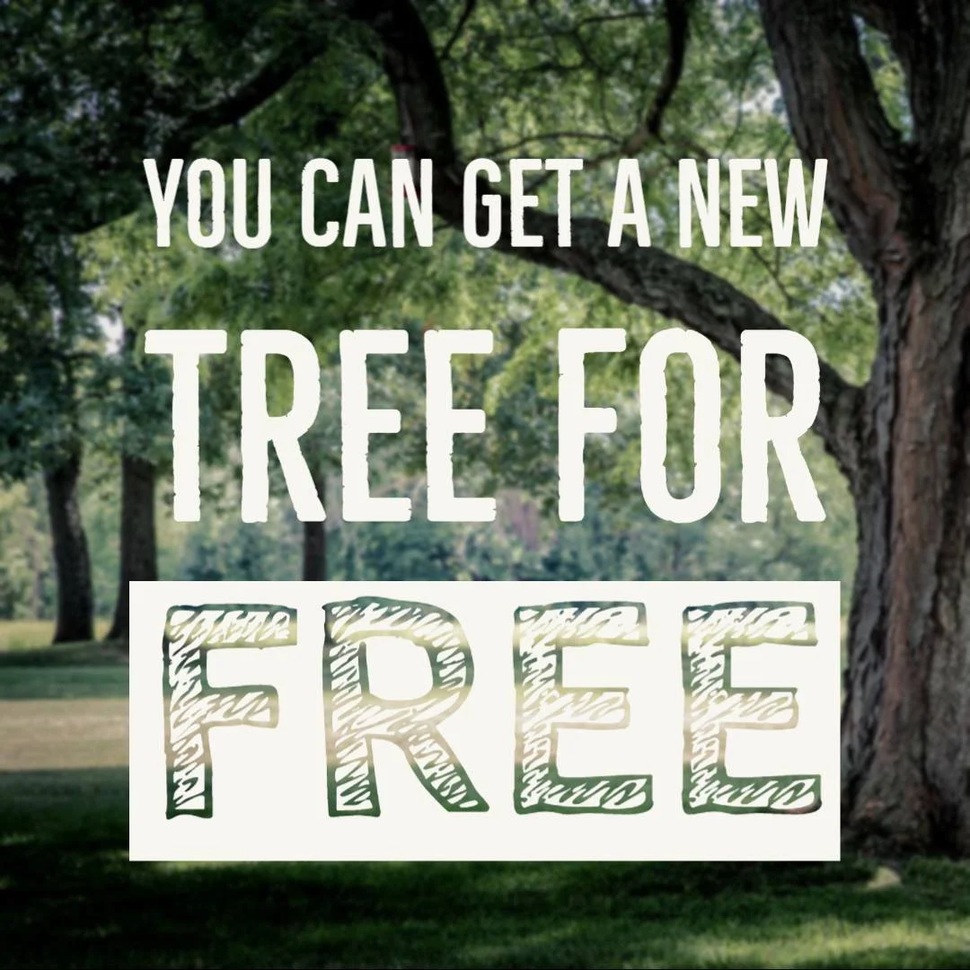 You can Get A Free Tree