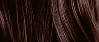 Bordeux_Red-Dark_Brown.jpeg