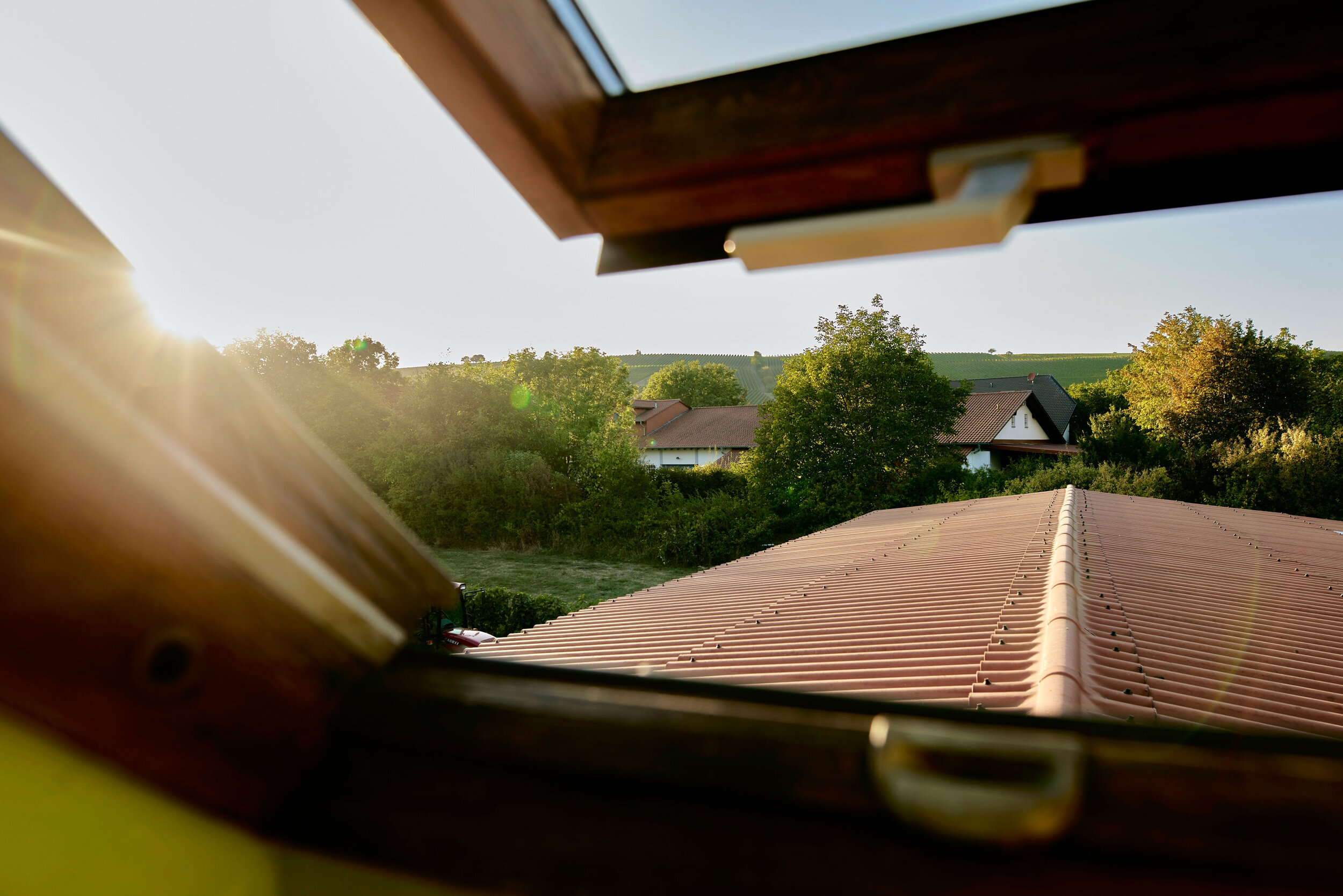 Ferienwohnung-Weingut-Kastanienhof-Bodenheim-Rheinhessen-mit-Blick-ins-Gruene.jpg