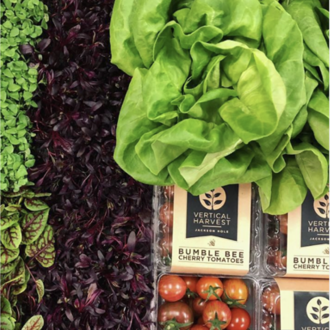 Nicoya invests in Vertical Harvest