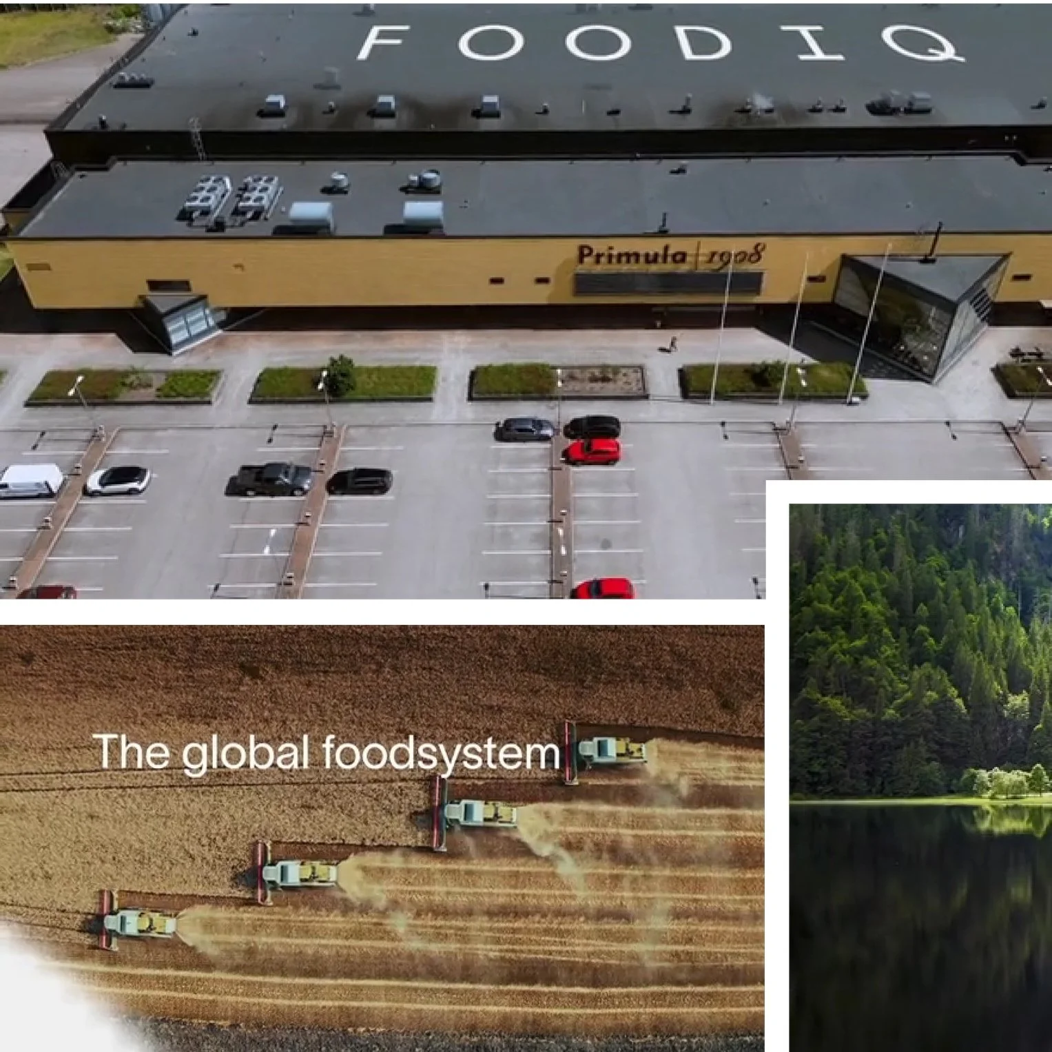 Foodiq Oy closes funding round