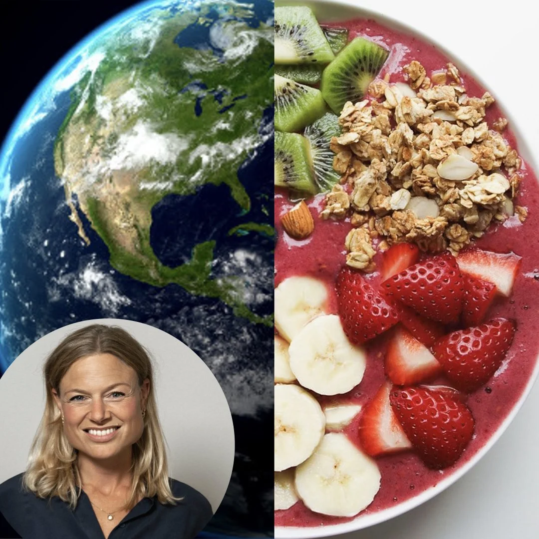 A Sustainability Perspective