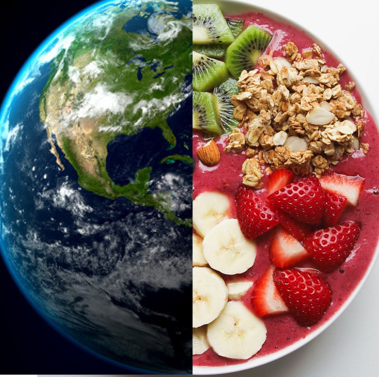 Nicoya Newsletter July 2023 