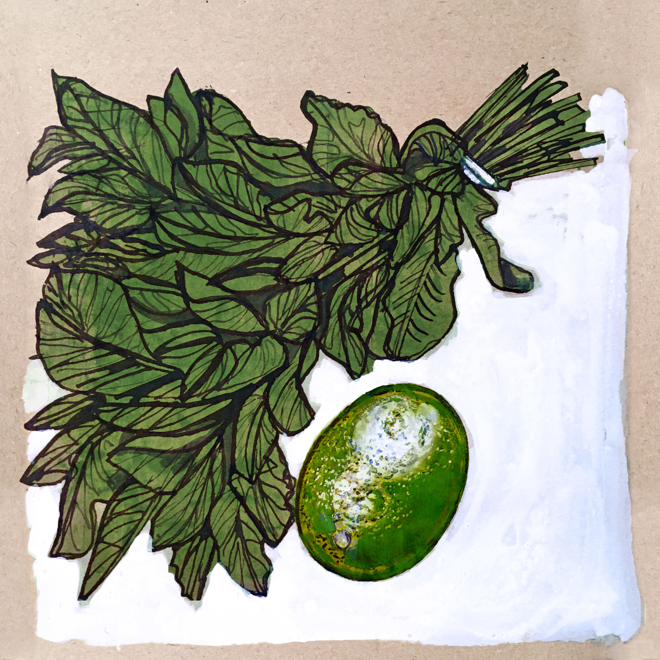 Mint_Lime.jpg