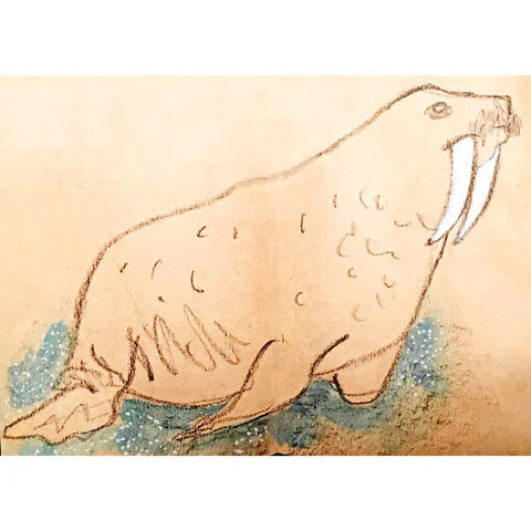 WalrusWeb.jpg
