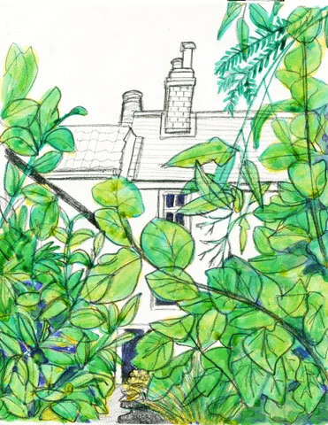Garden.jpg