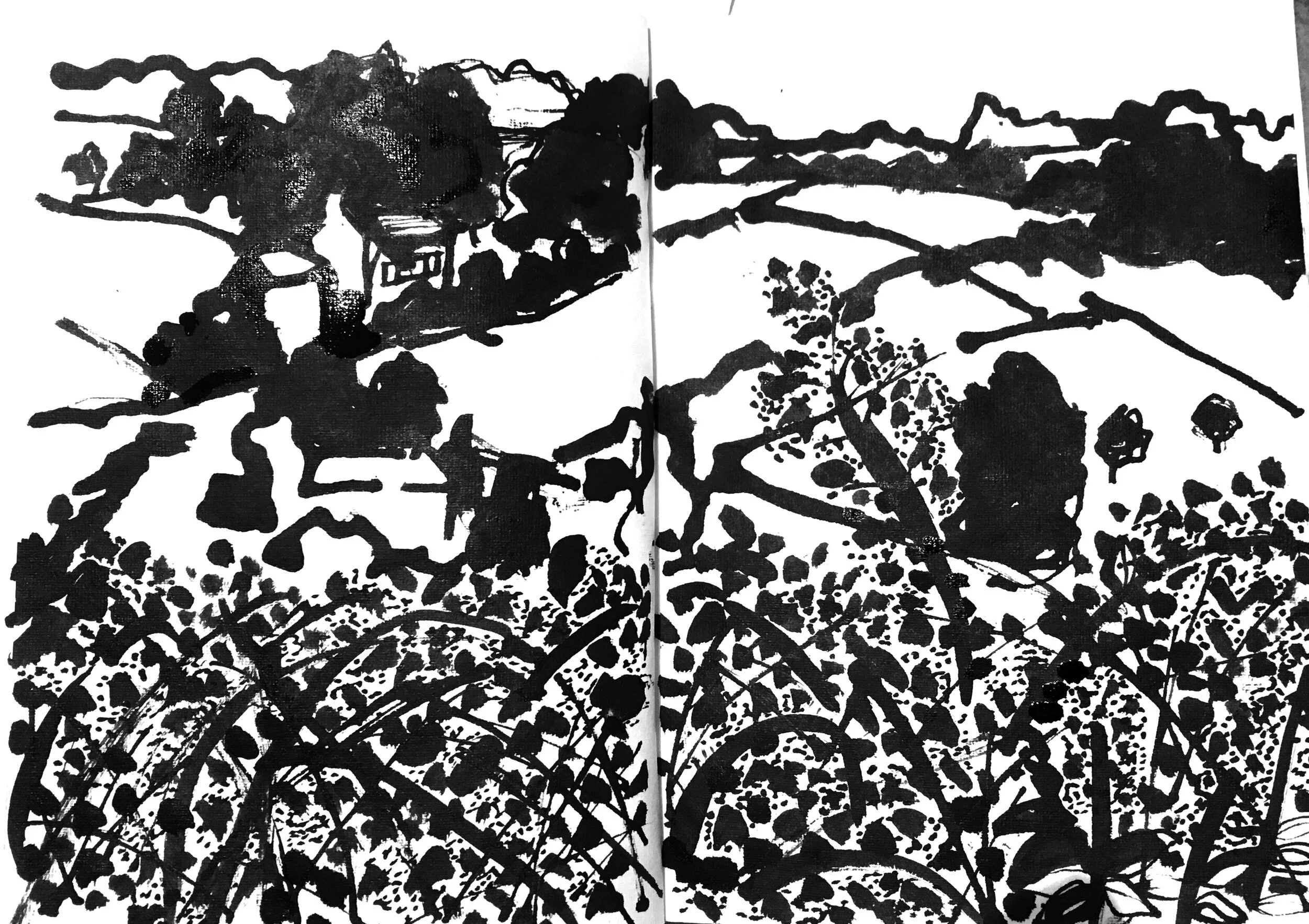 Symonds Yat View 1.JPEG