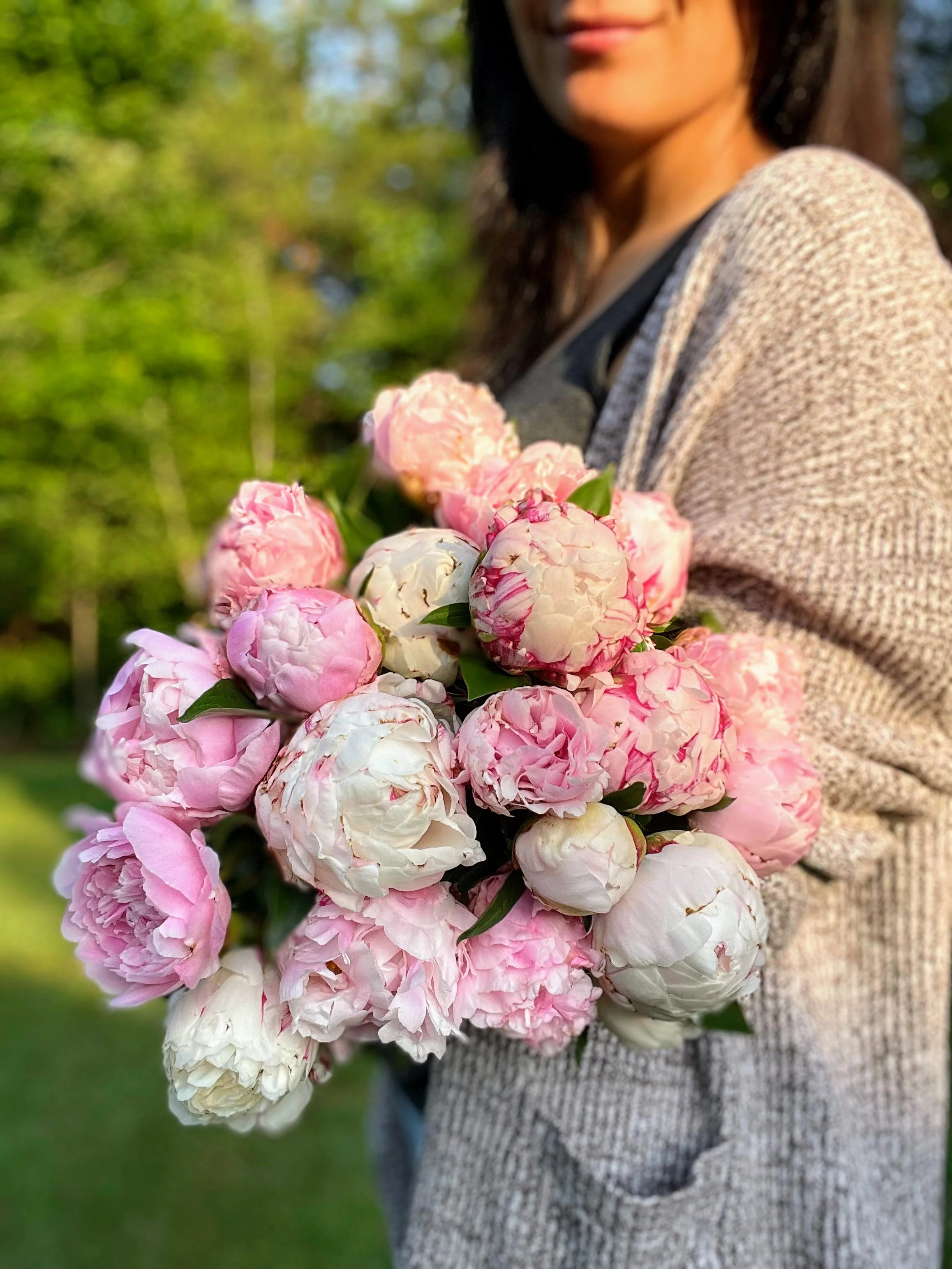 Peony - "Sarah Bernhardt" (For Week of 5/27)