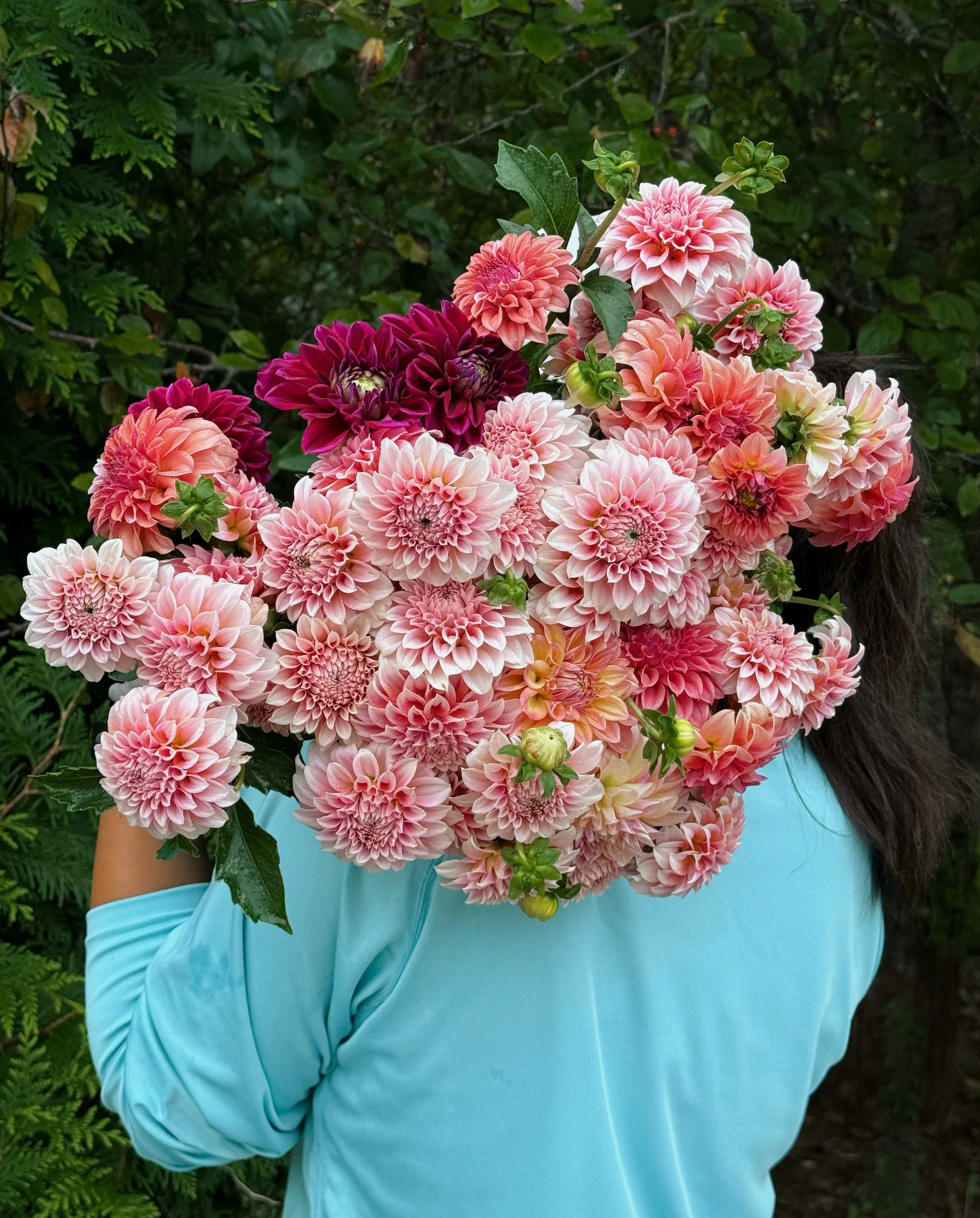 978F5799-6D7C-49A5-BAF0-D19012D983DA.jpg