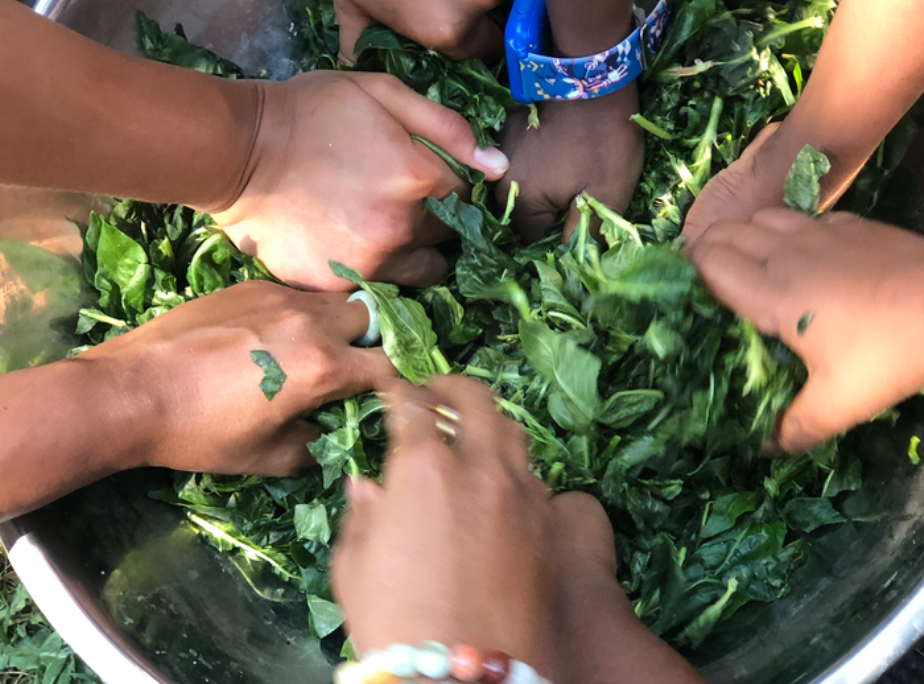 Nature School