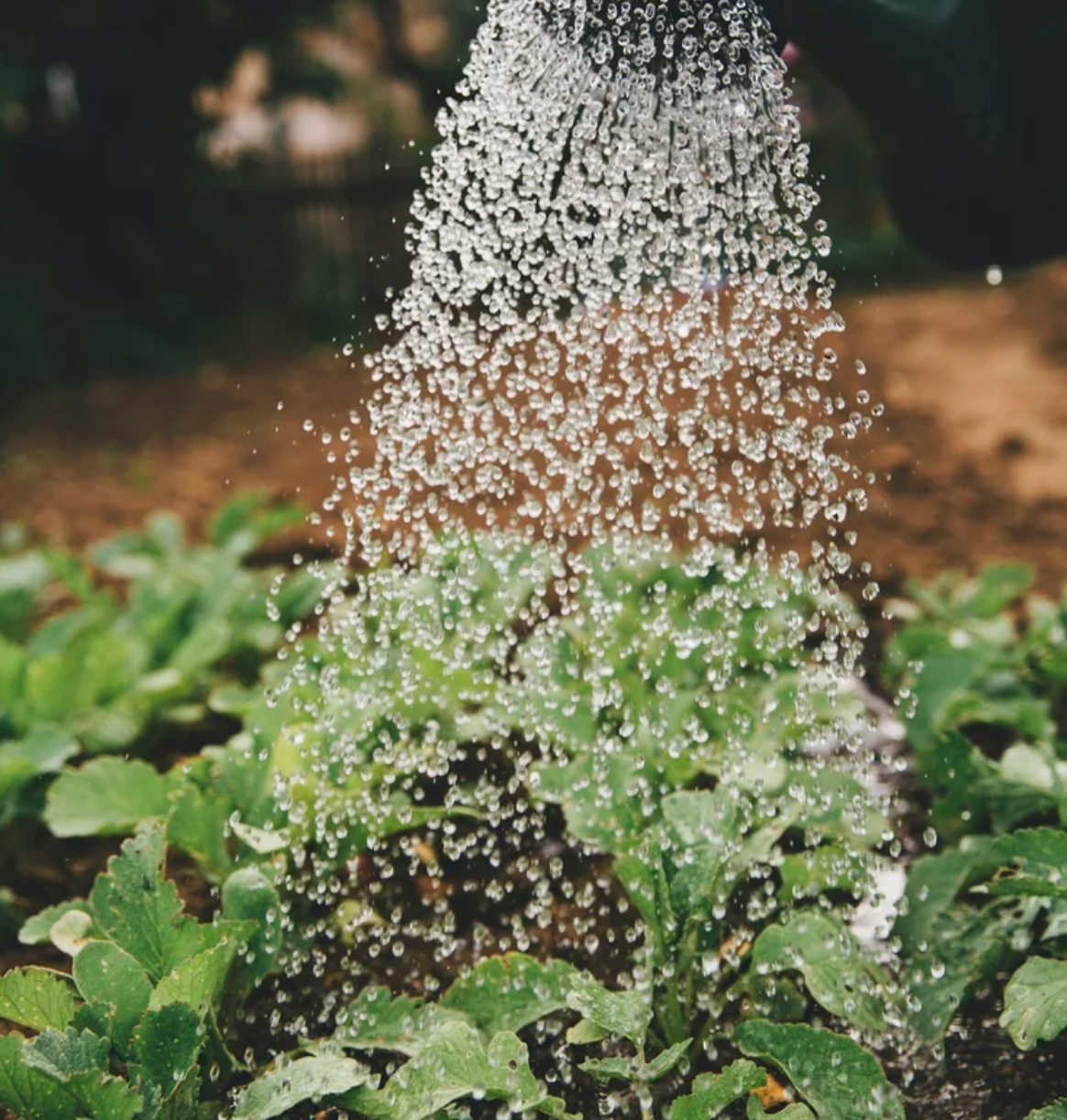 EMWSC Irrigation workshop