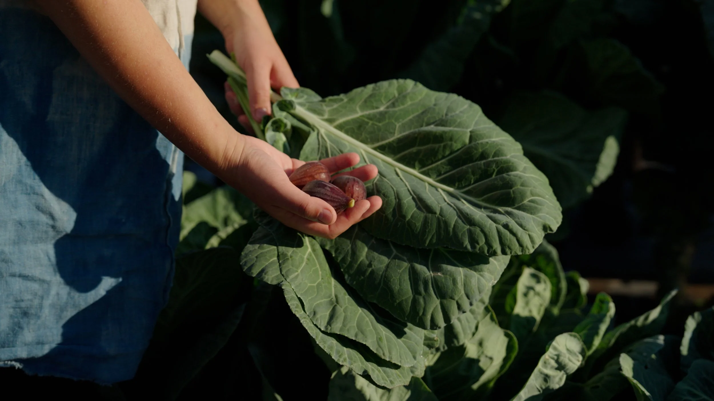 Food Forest Workshop