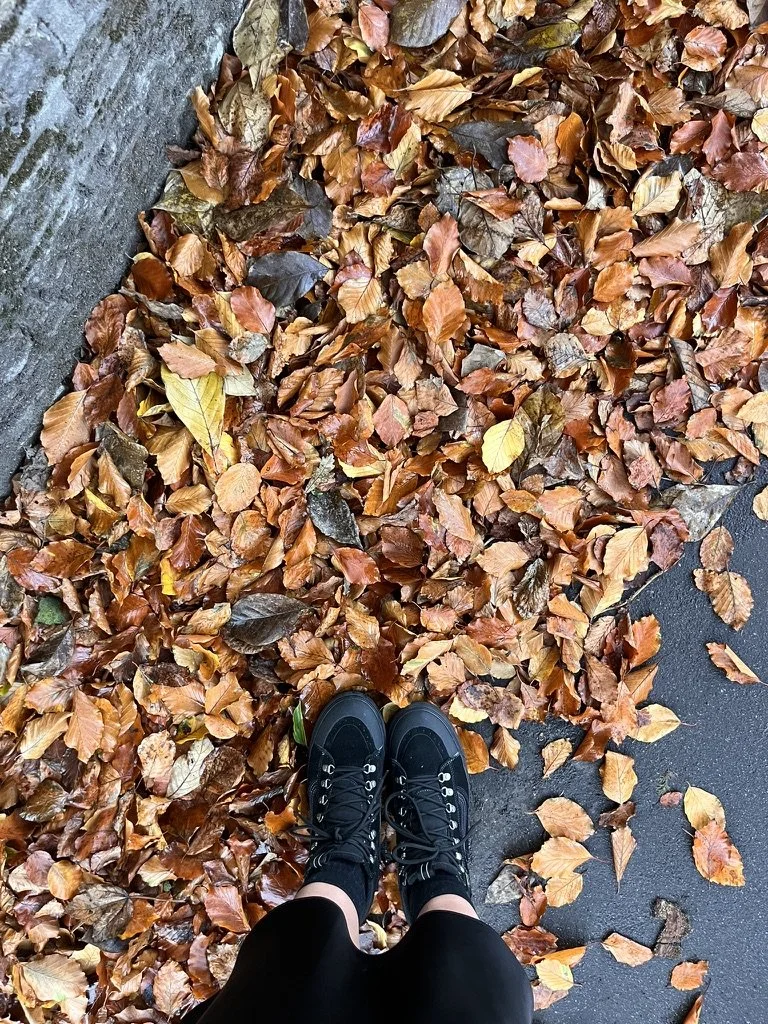 The Wisdom of Winter