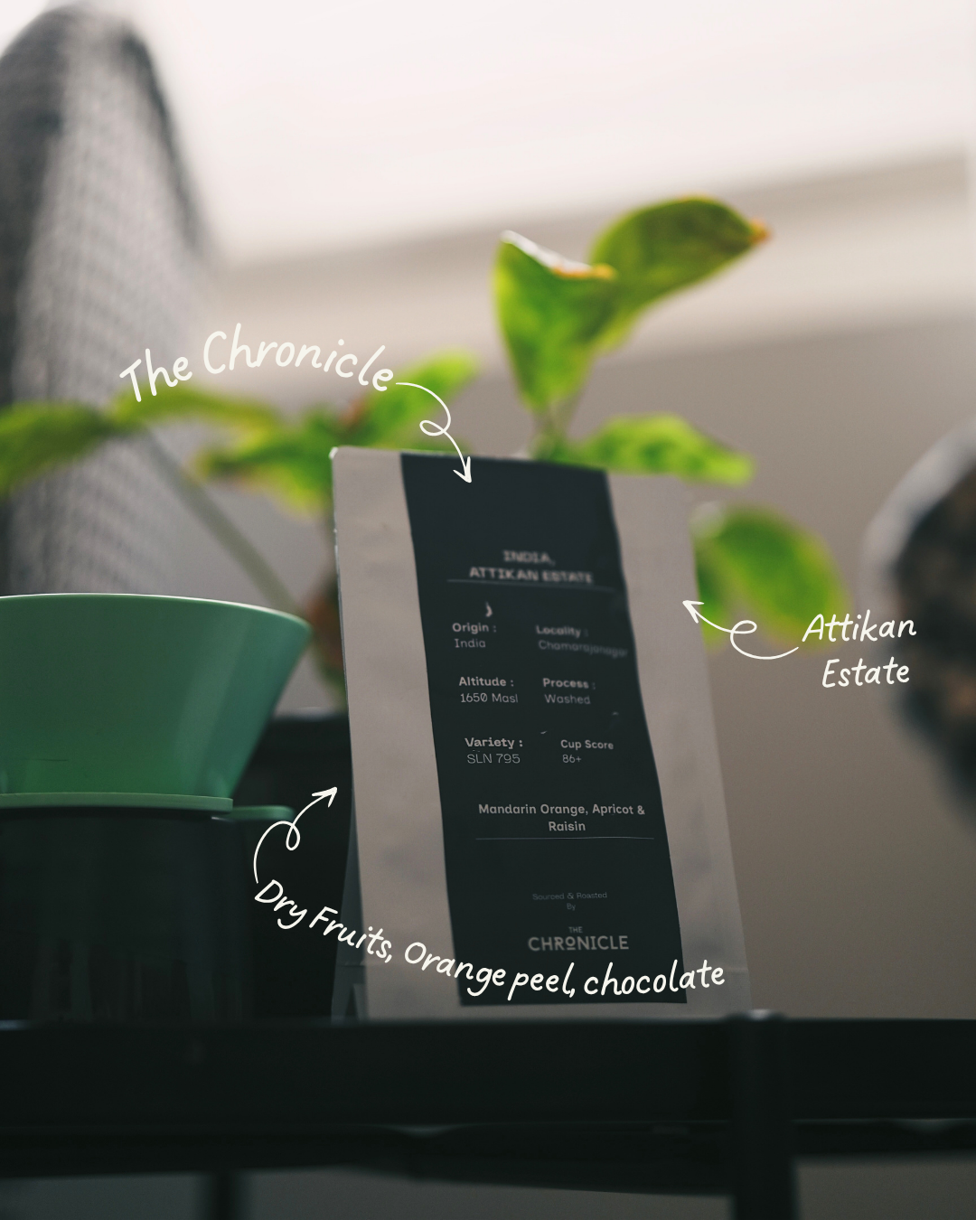 The Chronicle Attikan Estate