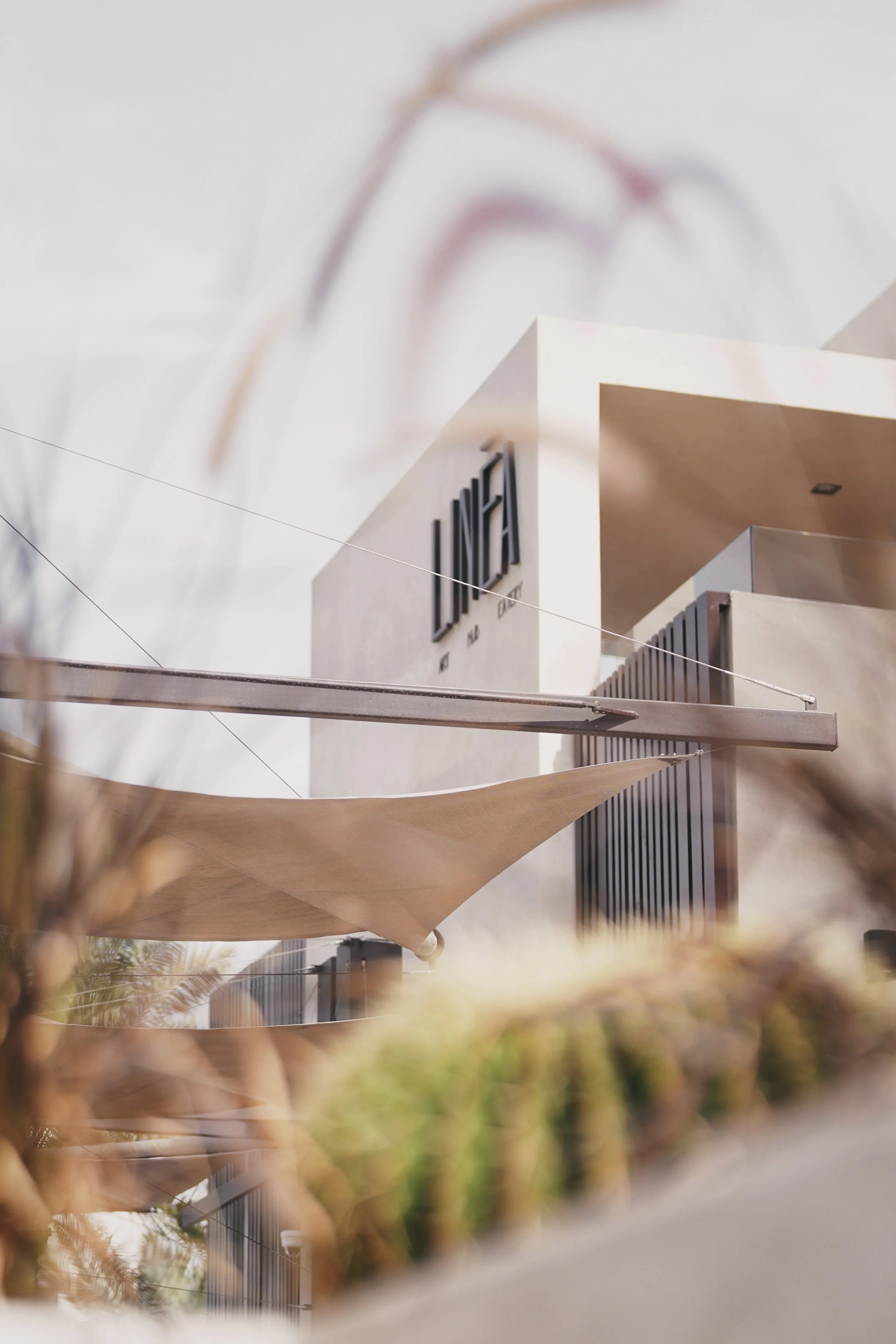 Linea coffee shop Dubai