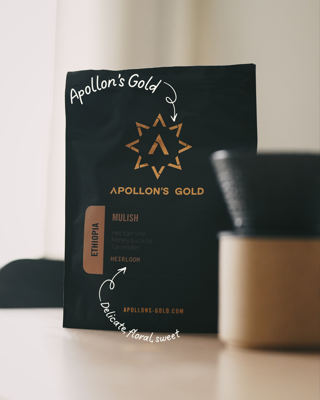 Apollon's Gold Ethiopia Mulish