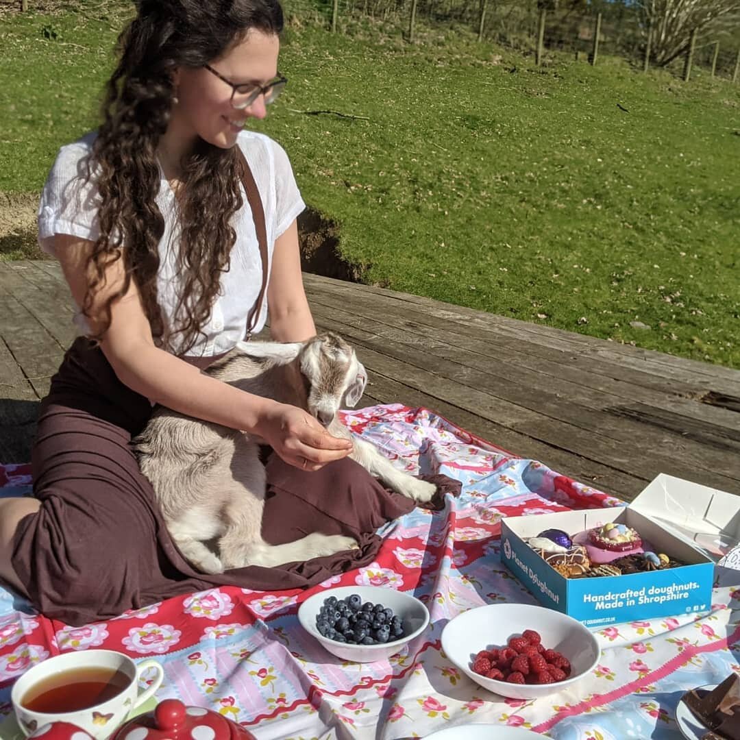HAPPY BIRTHDAY to meeeeeee! I had a beautiful picnic at the farm this morning. Sunshine,  Fruit and @planet_doughnut doughnuts. 

The other picnic guests were adorable,  our bottle baby Dodger and Fawn the gentle Jersey.  Fawn particularly enjoyed th