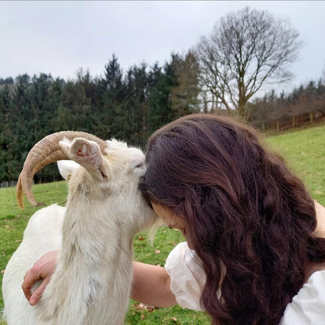 Animals reflect back the emotions you put in. If you put in respect, kindness and curiosity, they will return those emotions. With some there's an instant kinship while others make you work for it. 
I've always had a soft spot for the ones who's trus