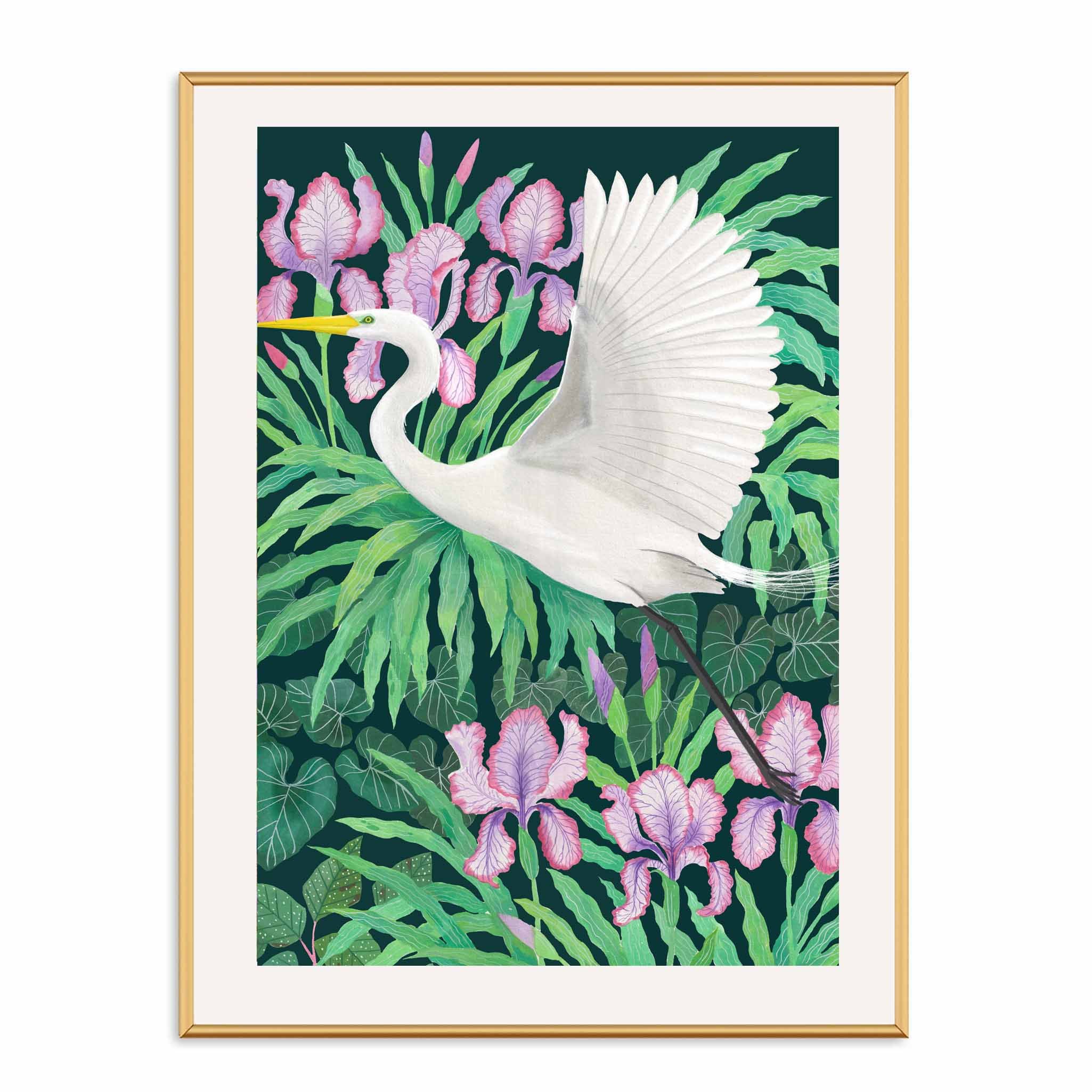white egret botanical art print with irises on a teal background by wildlife artist Bex Parkin