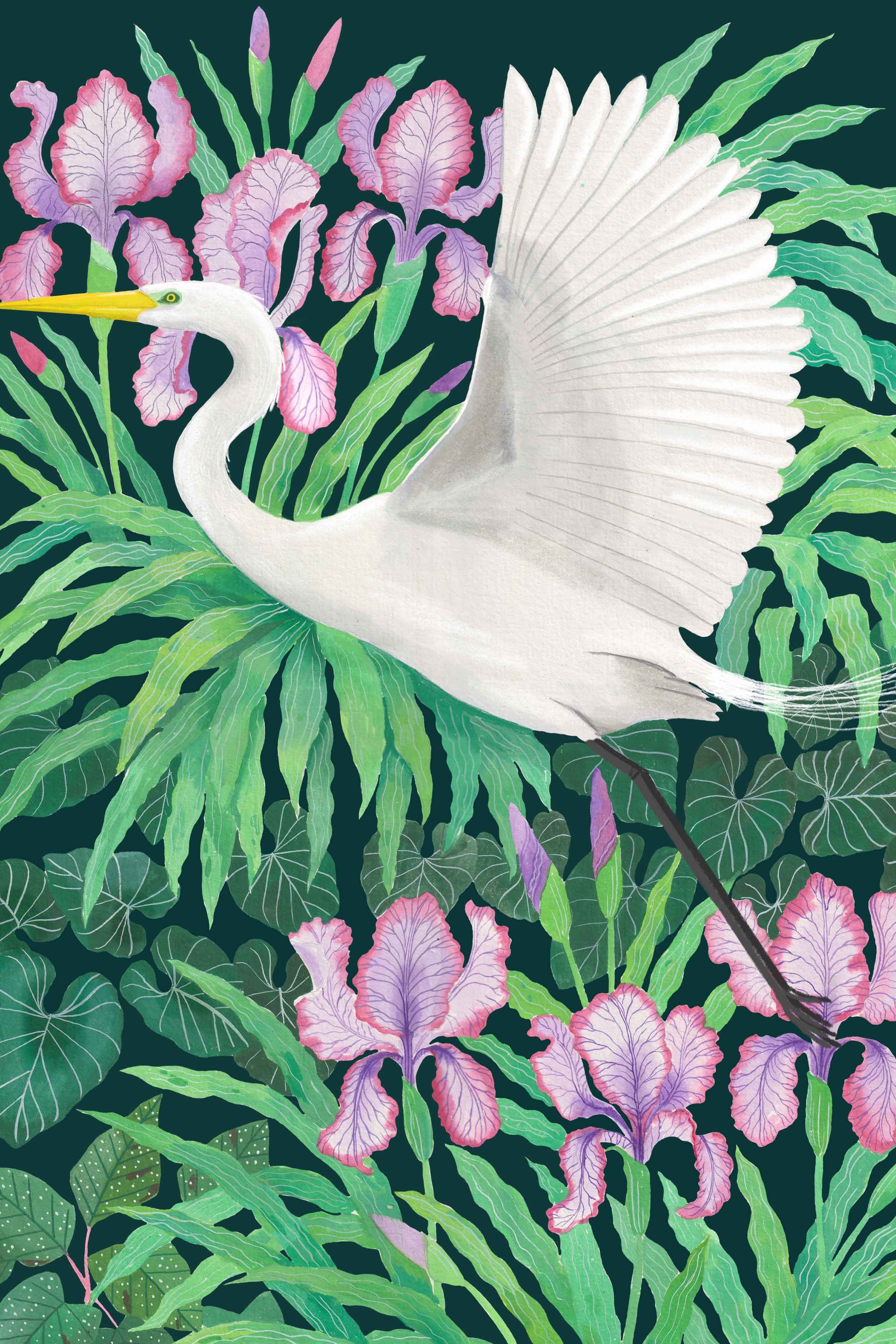 white egret botanical art print with irises on a teal background by wildlife artist Bex Parkin