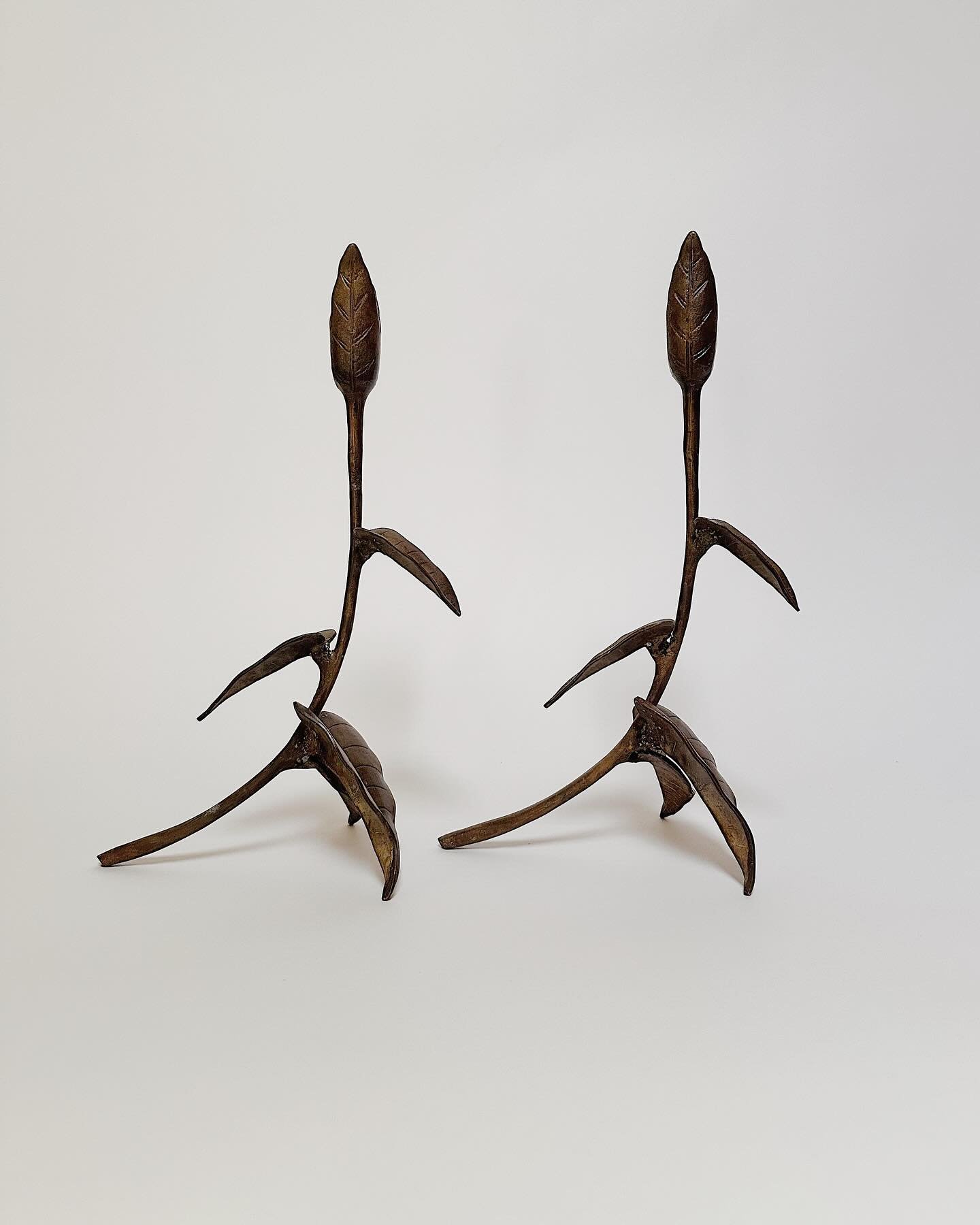 Brass or Verdigris?