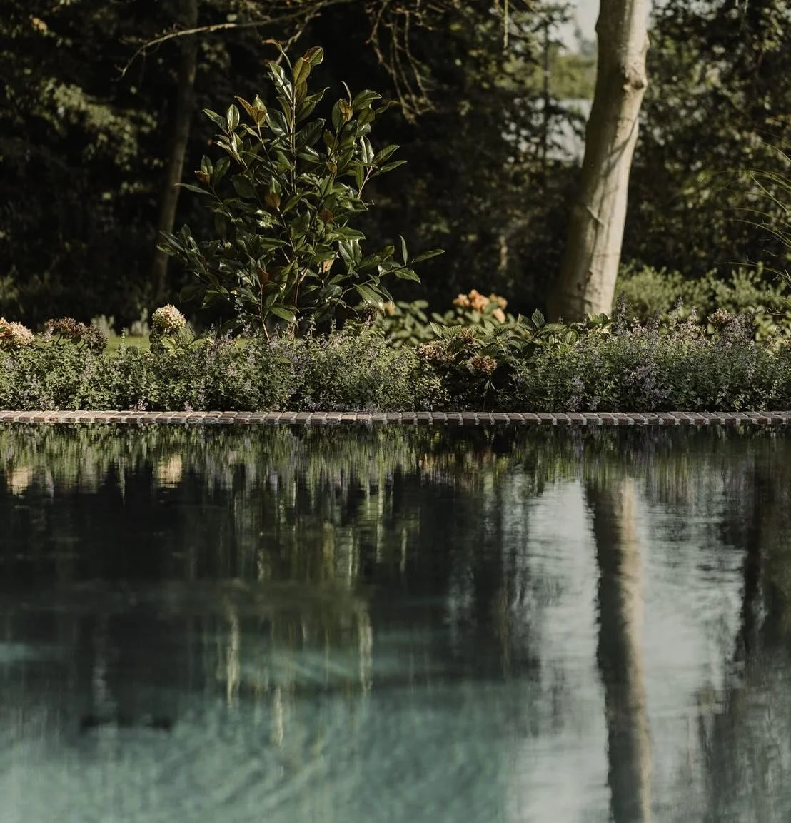 Pool views project rb

Design @vesperprojects 
Garden design @lastershoveniers