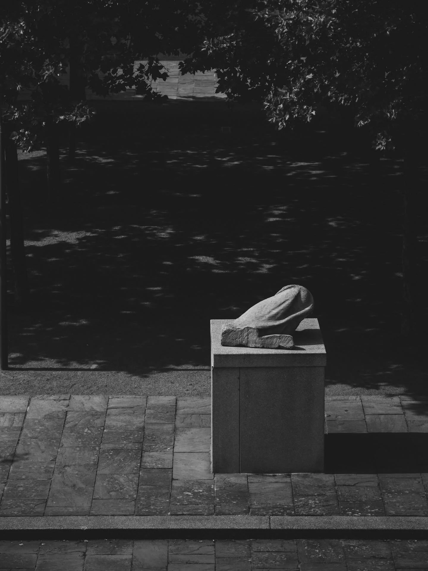 Beneath the trees of Antwerp , silence settles softly between shadow and stone. A quiet rhythm of light, space, and stillness. 

picture - @tijsvervecken