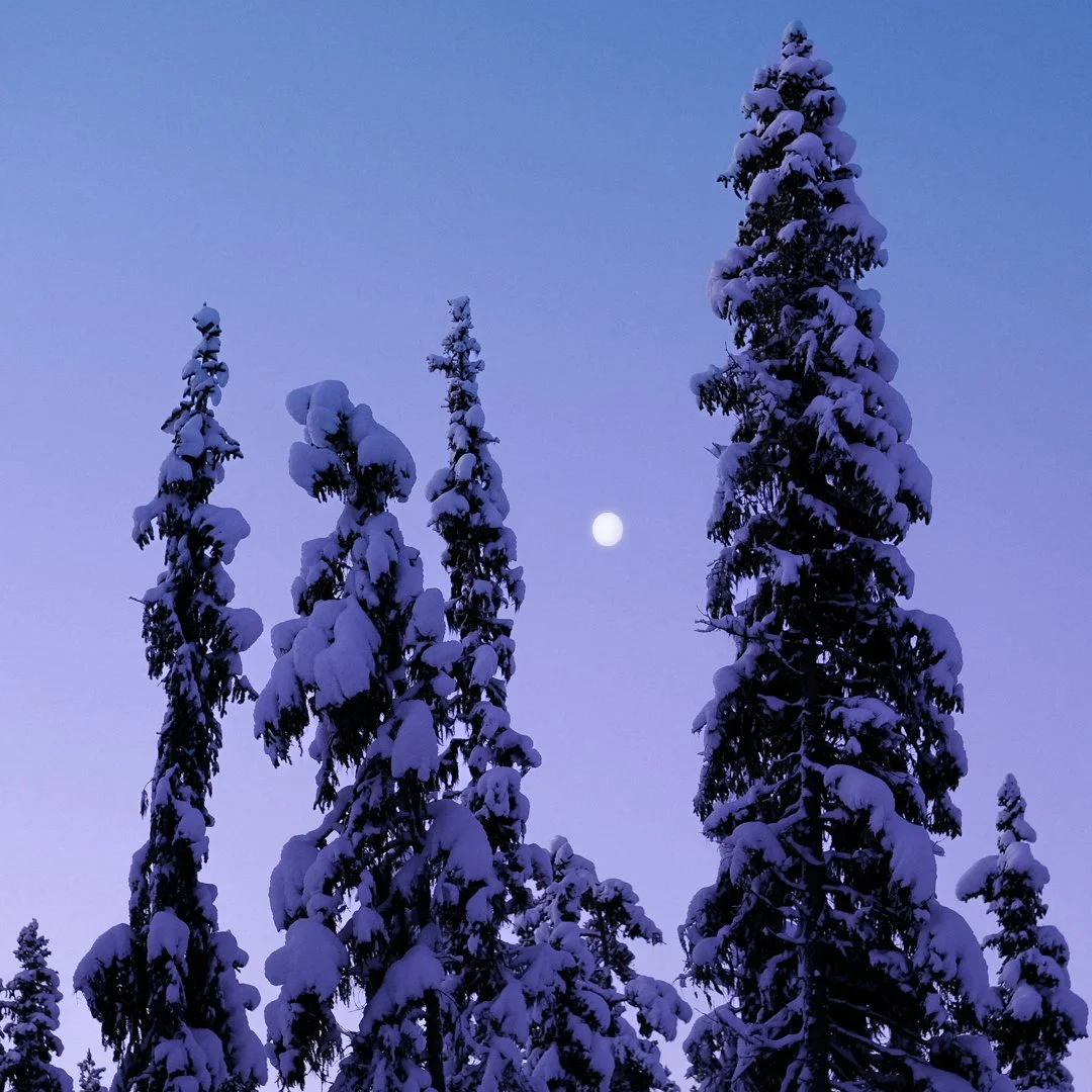 Månvinter .jpg
