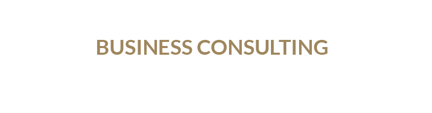 consulting.png