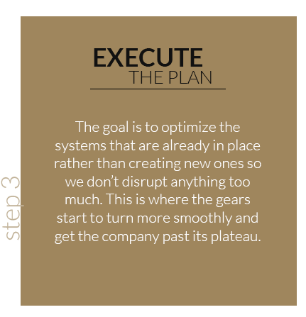 execute.png