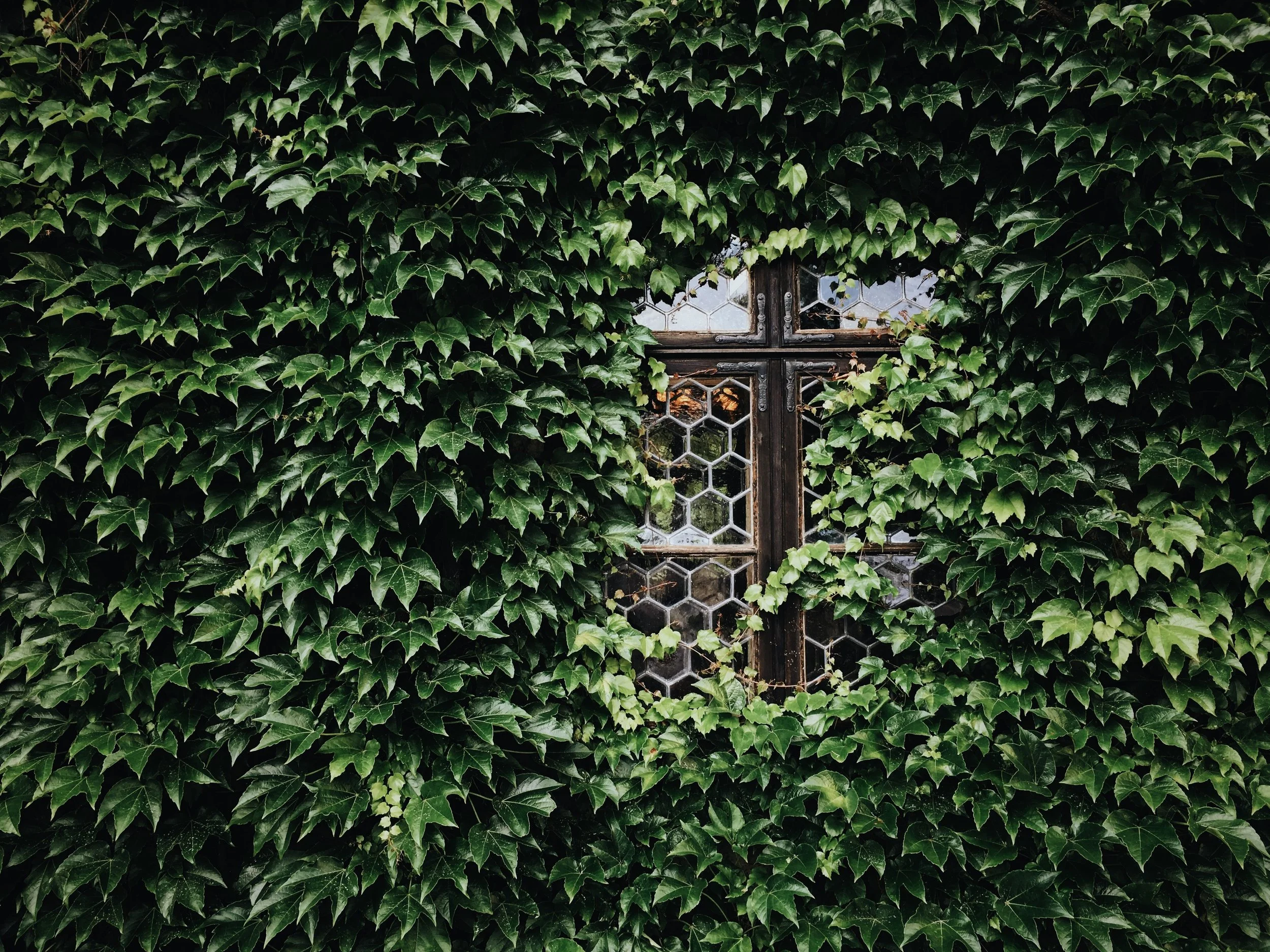 What is a Niche Market?