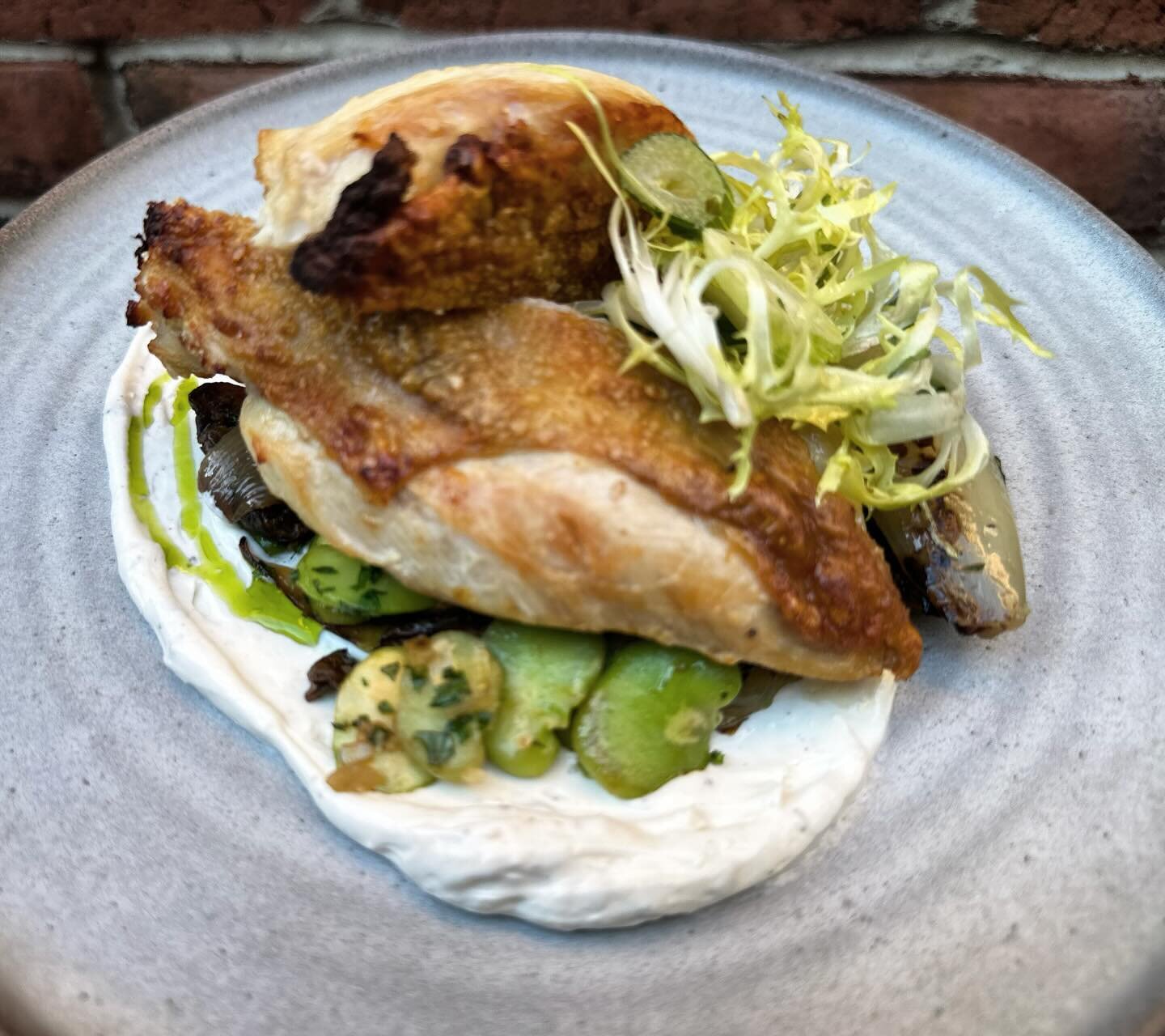 NEW MENU ITEM!
eggleston farm chicken breast
fava beans | mushroom | shallot confit | house-made lebneh | lemon dressed greens 
@egglestonfarmfresh