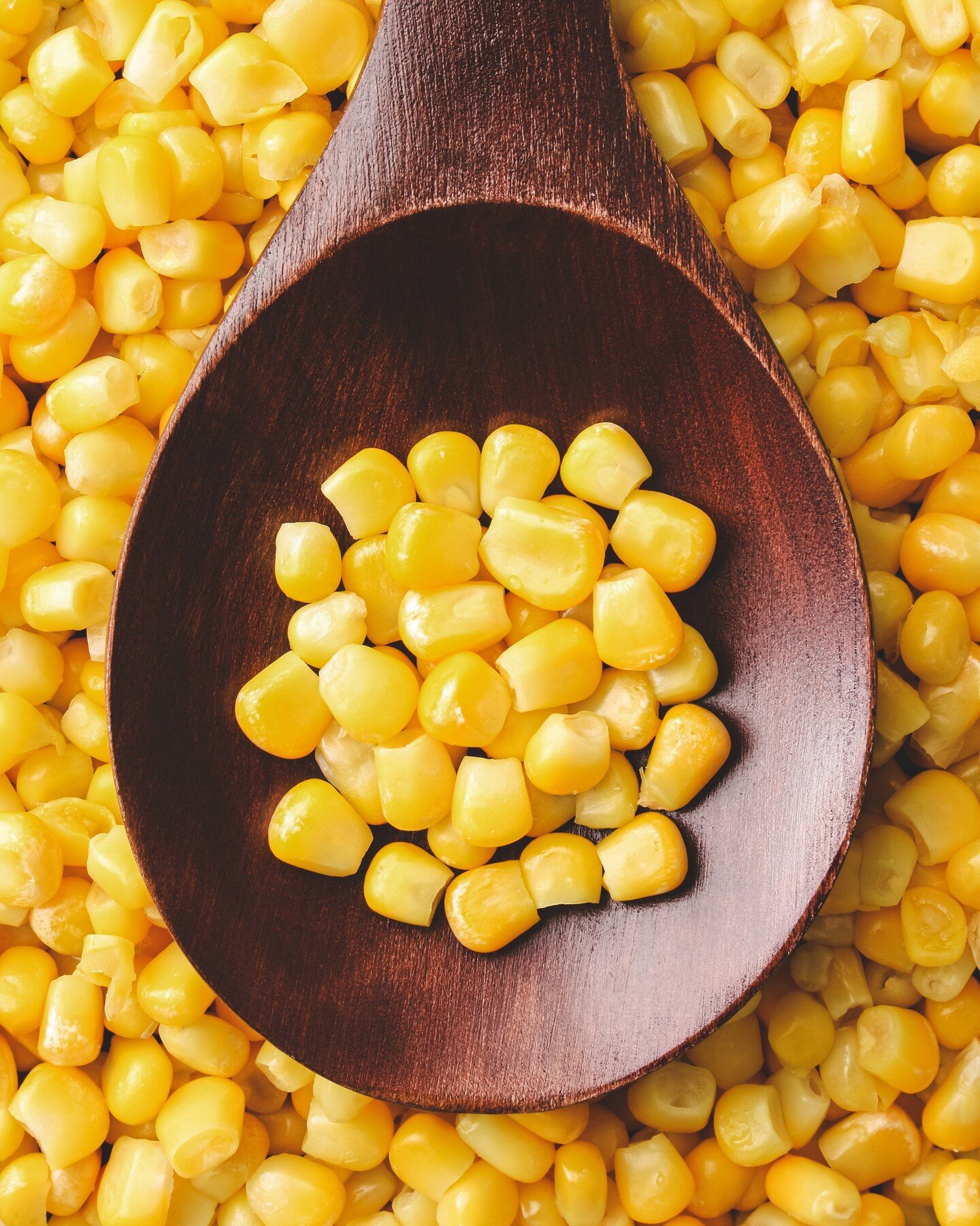 Next up on our new products focus is Sweetcorn - Available in 1.85kg tins.

Such a versatile vegetable, use it in salads, fritters, salsas, pasta dishes, soups, veggie burgers and so much more.

You cant go wrong having a tin of this in your kitchen,