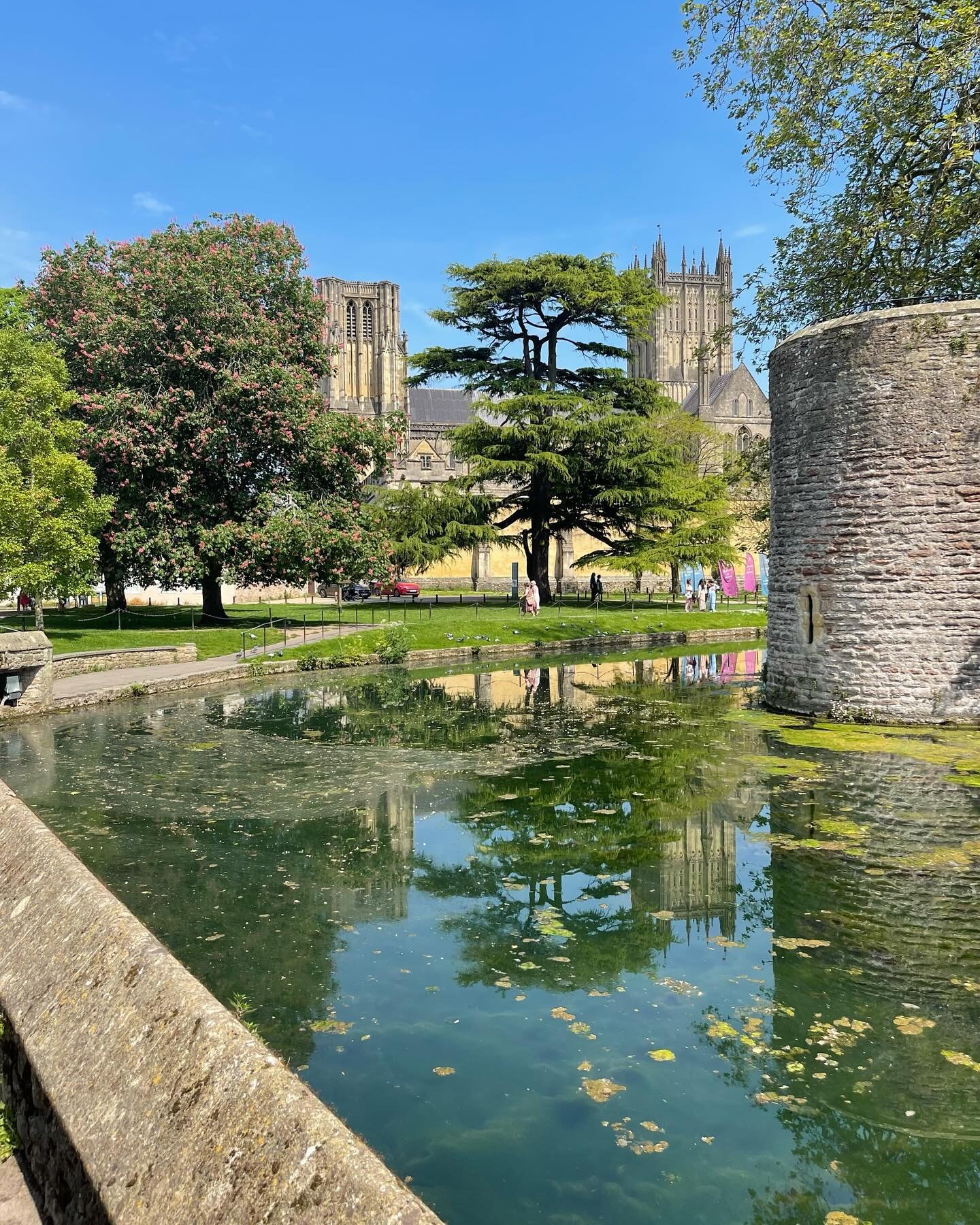 Beautiful day in sunny Somerset, perfect day for a walk and then pop into a local business for a light bite and cooling drink.

#supportlocal #sunnydays☀️
