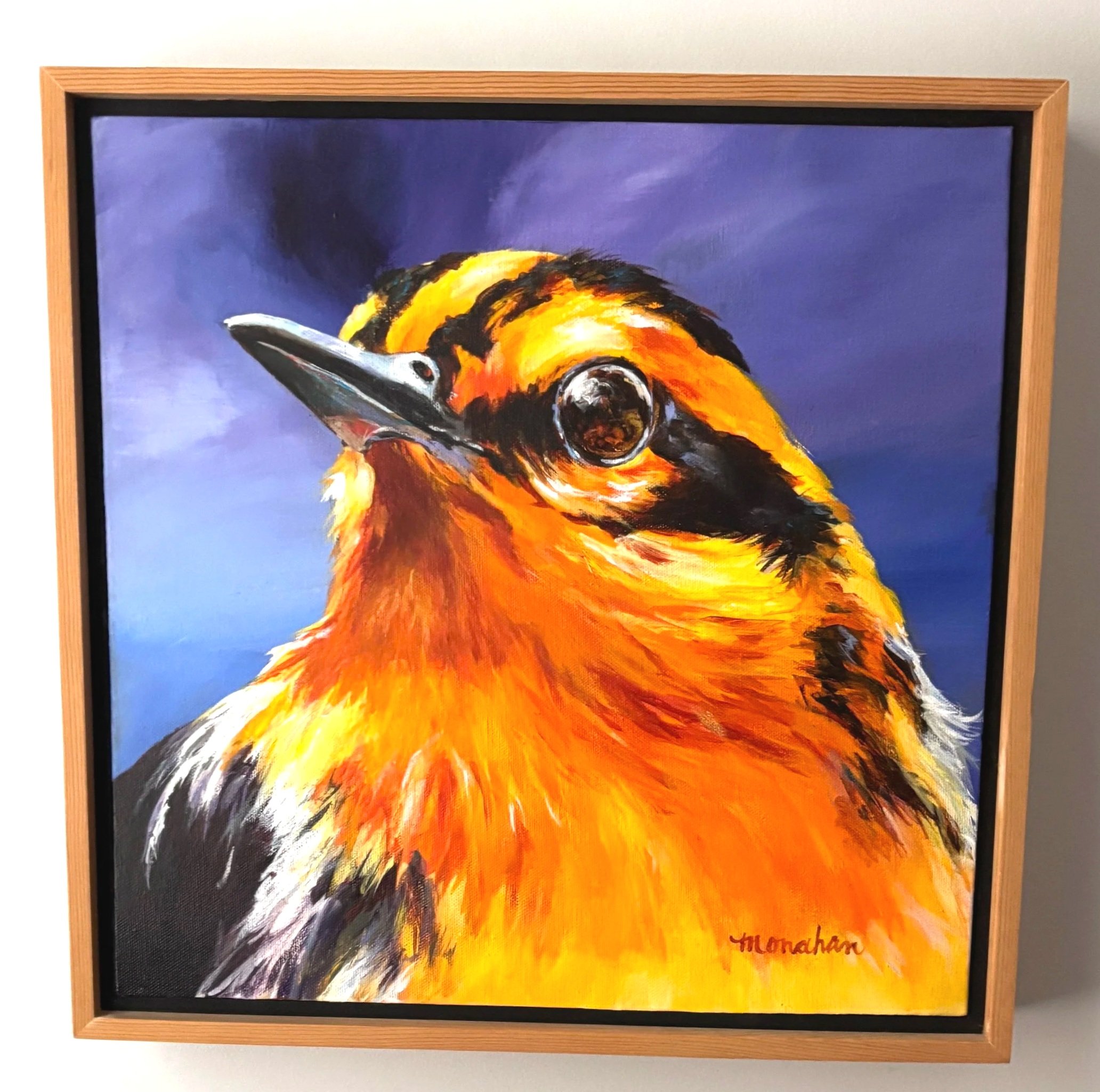 Oriole, framed (10"x10")