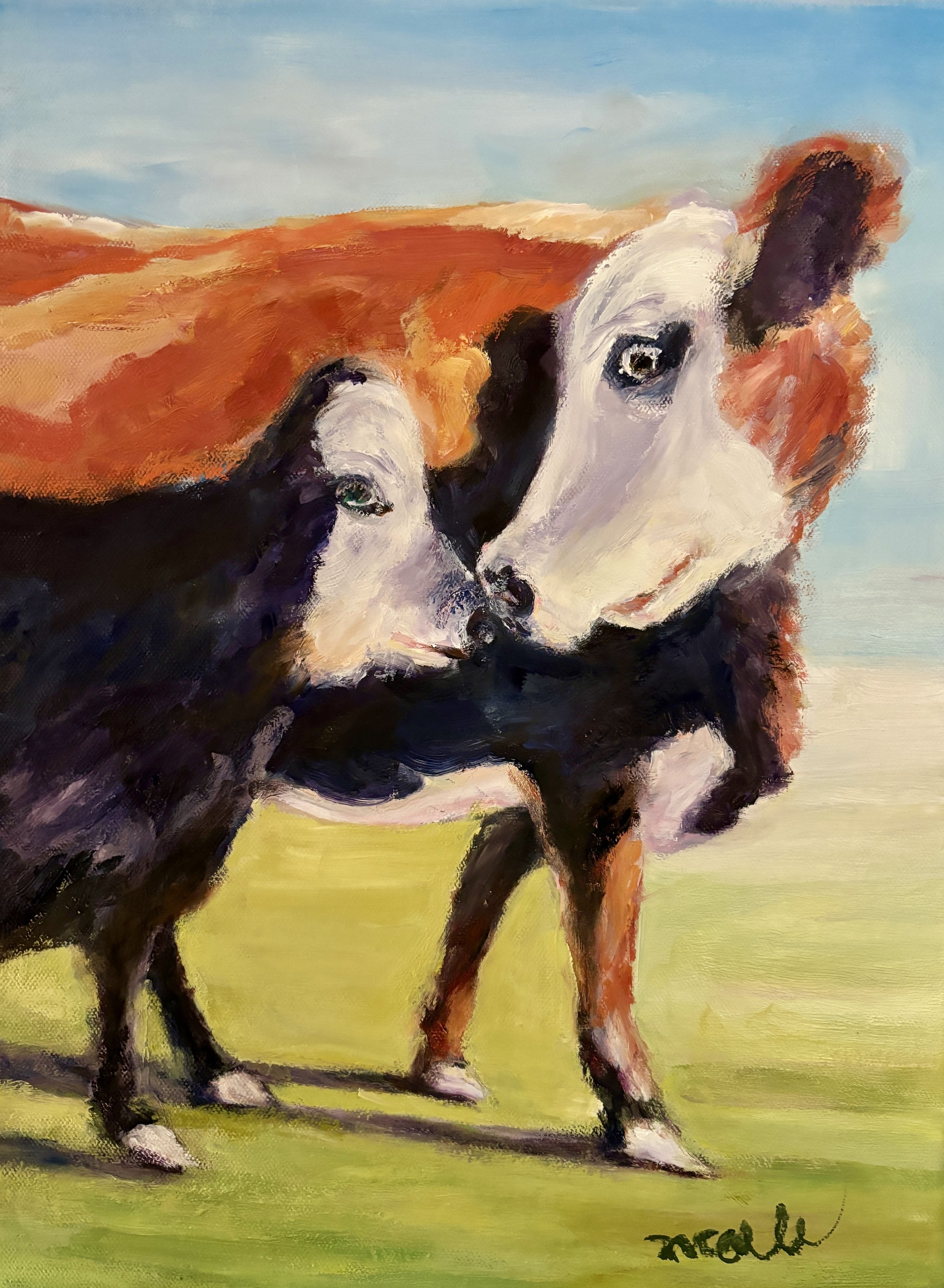 cows calf field barn pasture