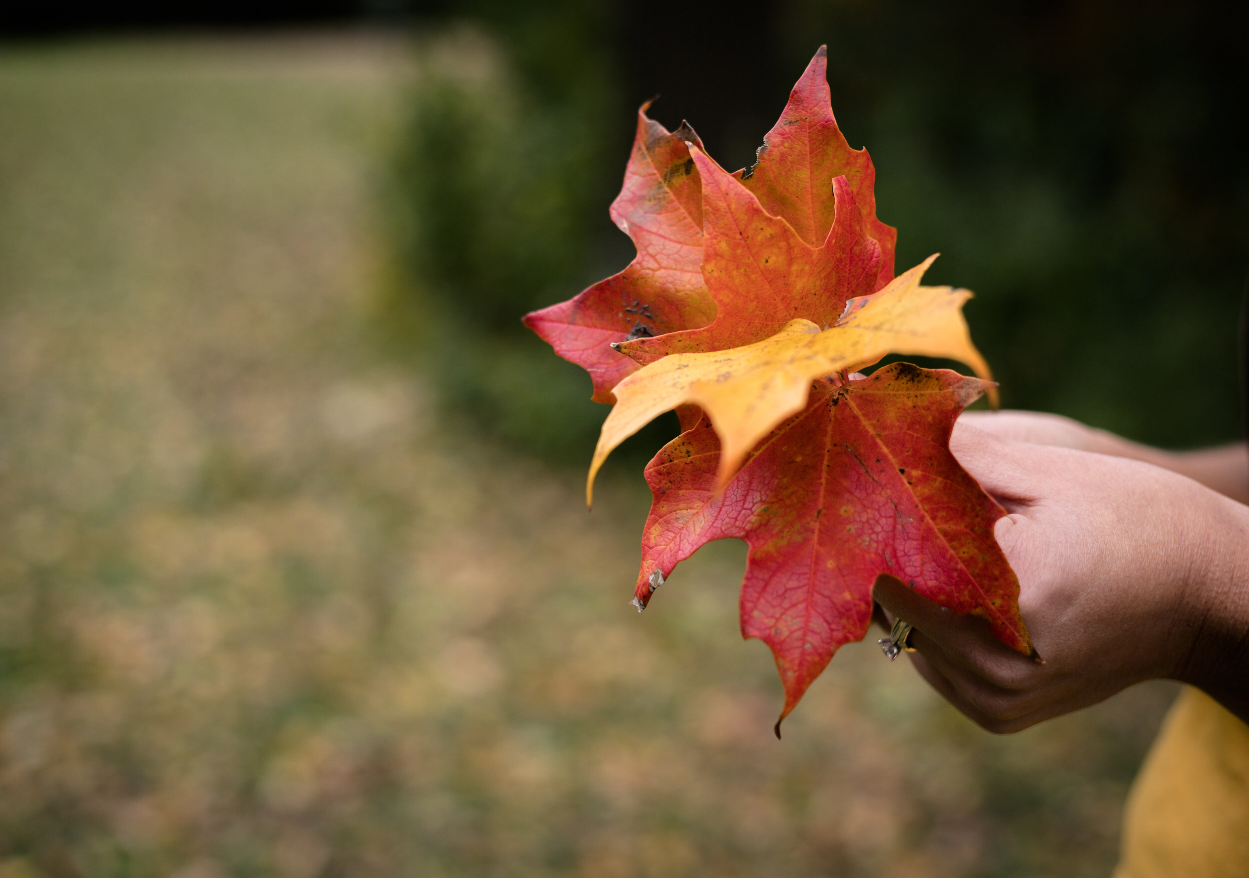 About — Life In Full Photography