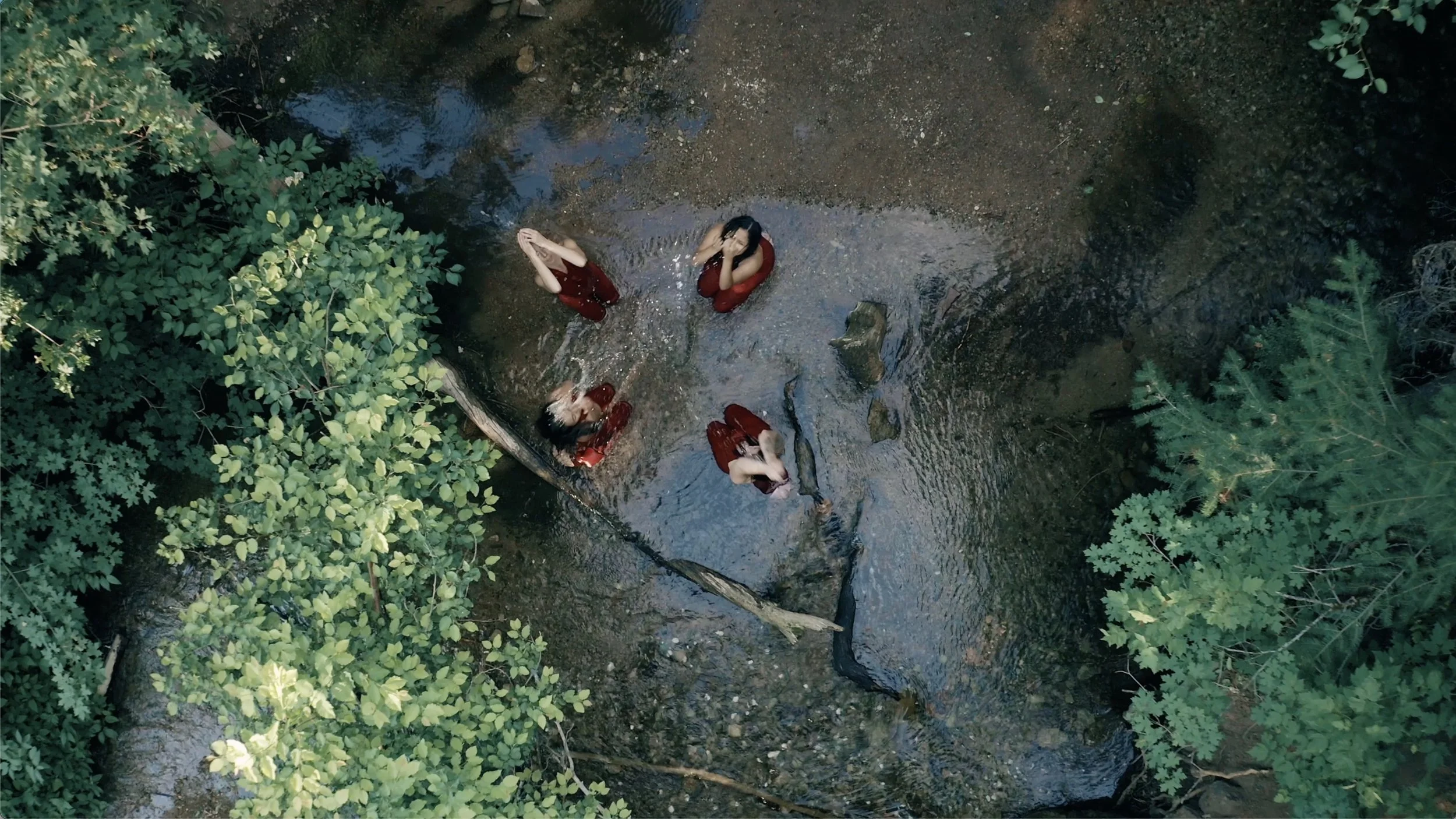 Four Splash Face Millcreek.jpg