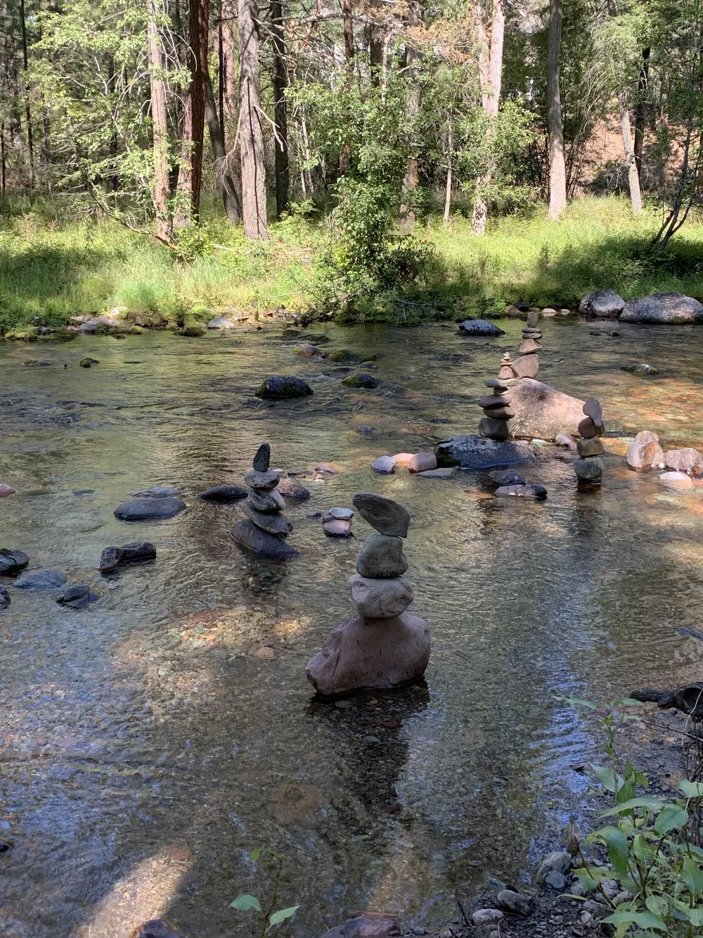 Resources — Rattlesnake Creek Watershed Group
