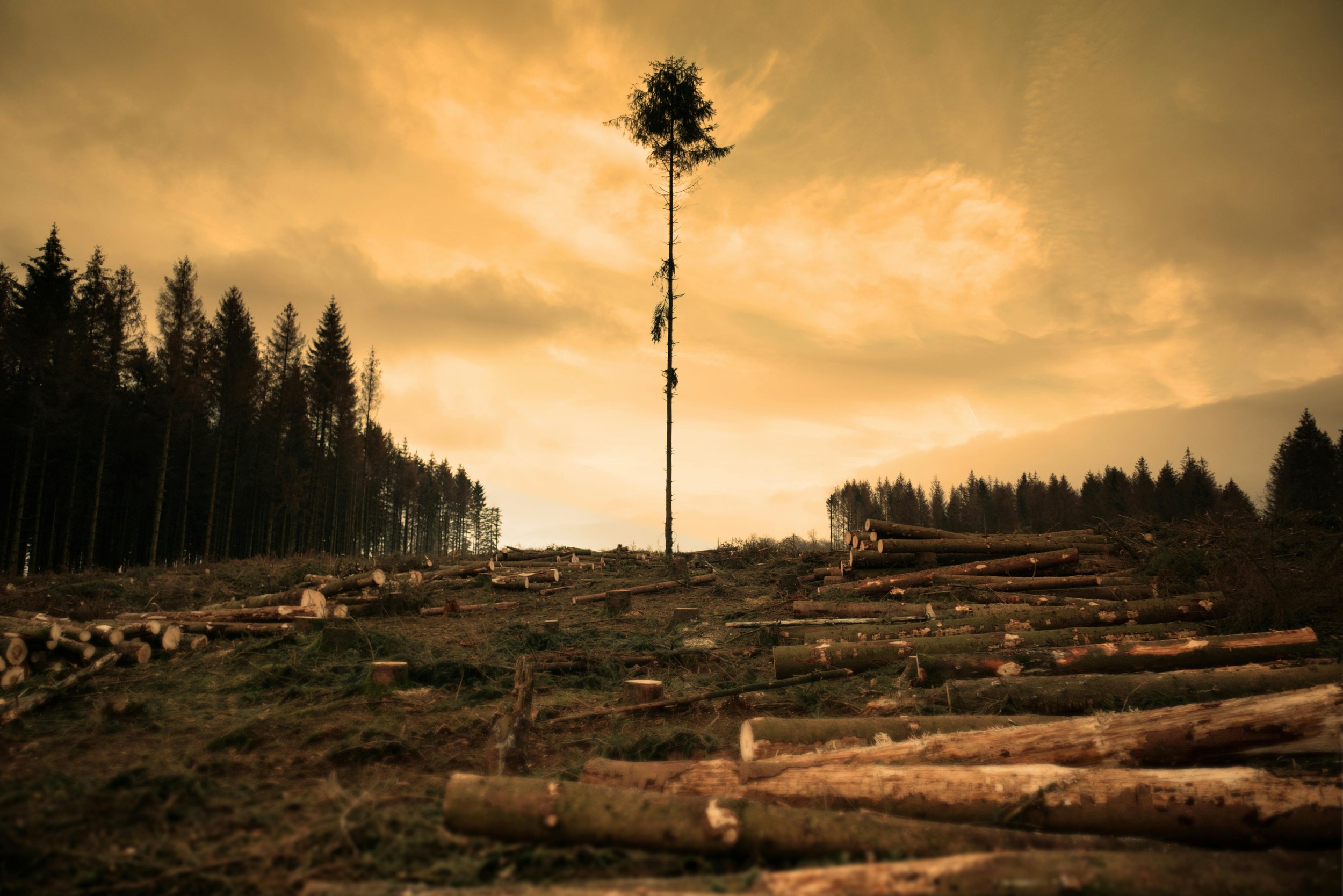 Financing Biodiversity—But on Whose Terms?
