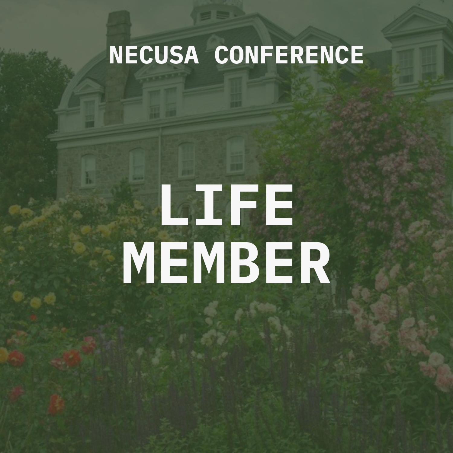 necusa (6).png