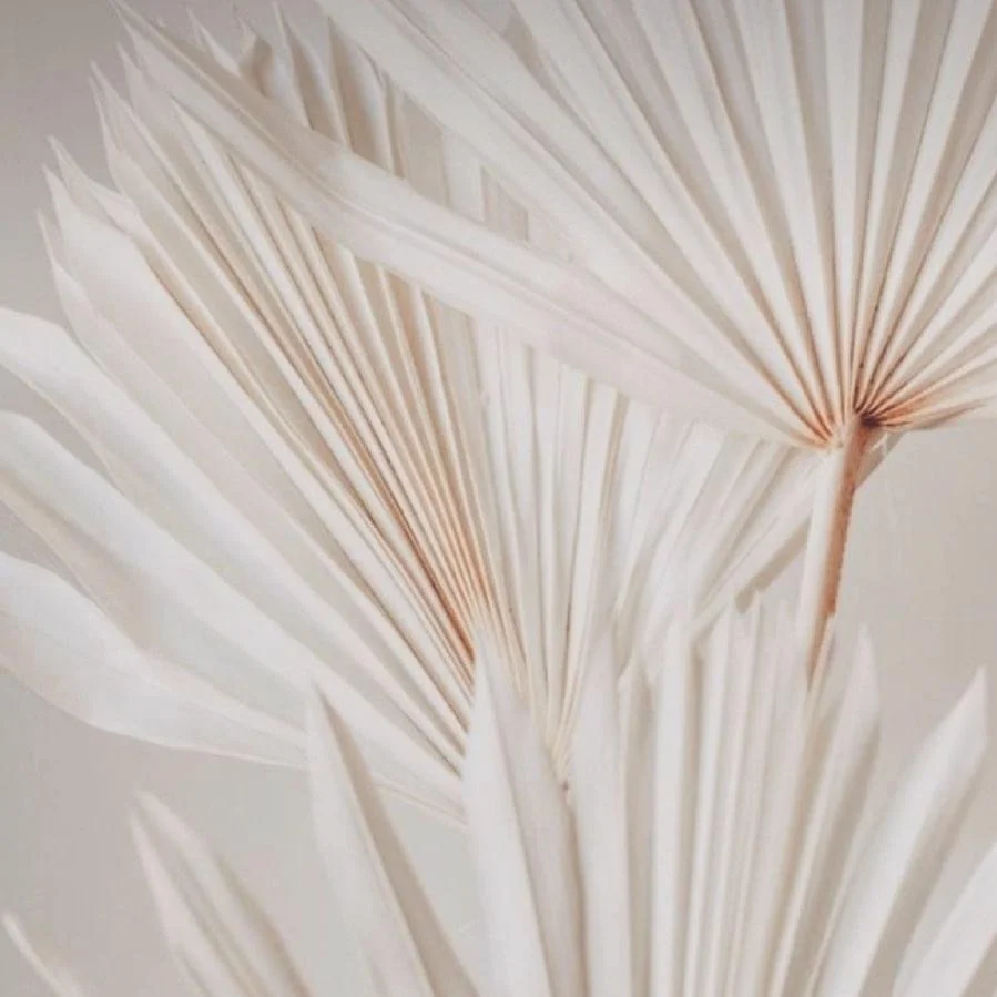 MÉDITATION-SOIN DU PARDON